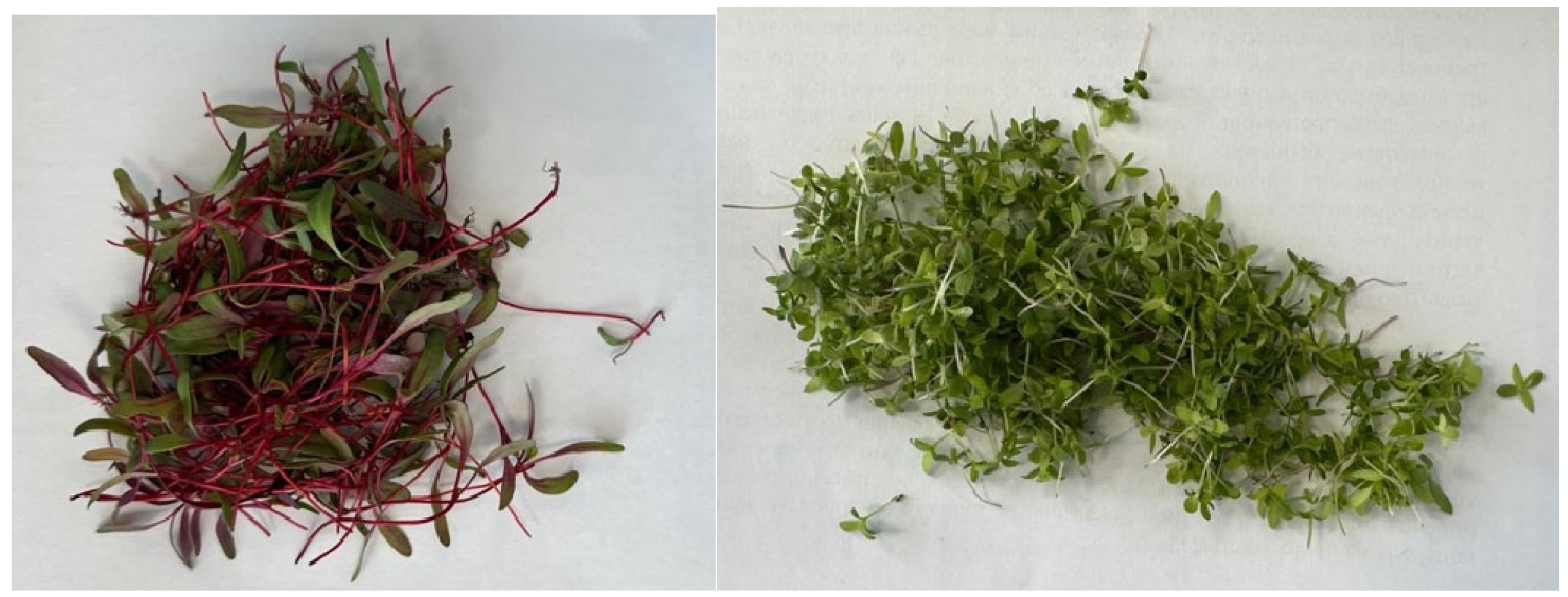 Processes 13 03284 g001 Processes 13 03284 g001