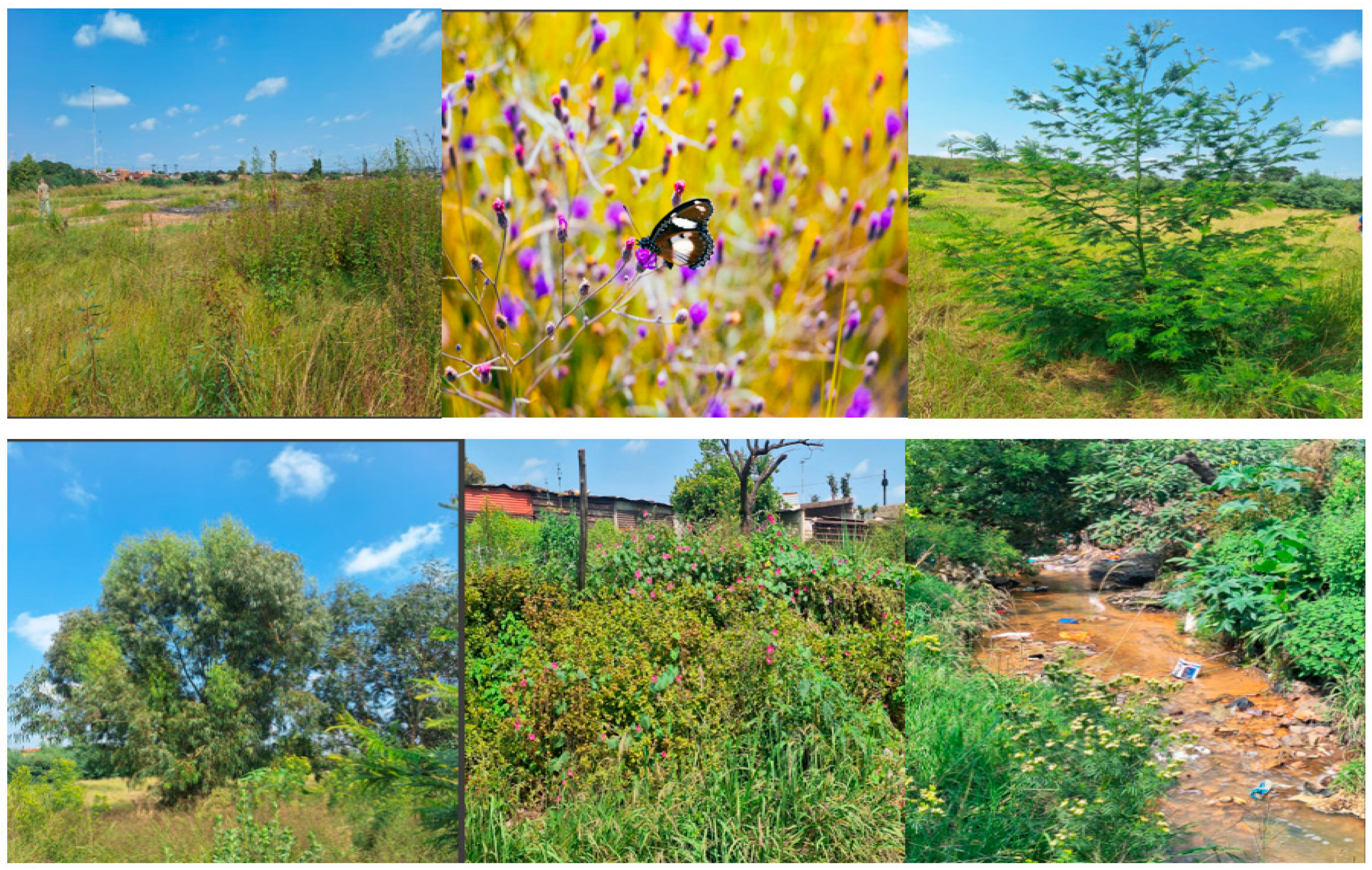 Processes 13 03307 g003