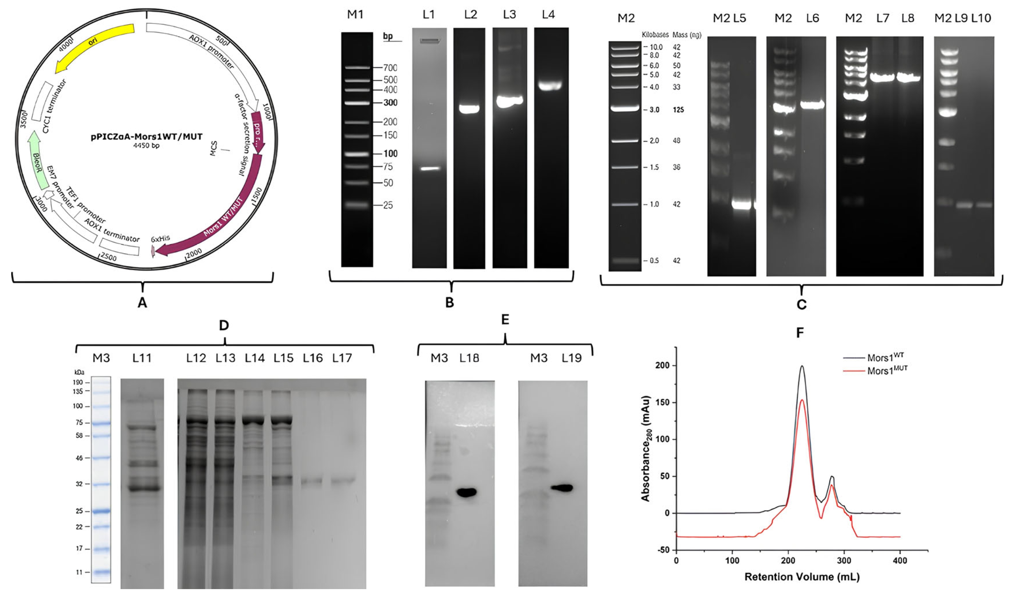 Processes 13 03320 g002