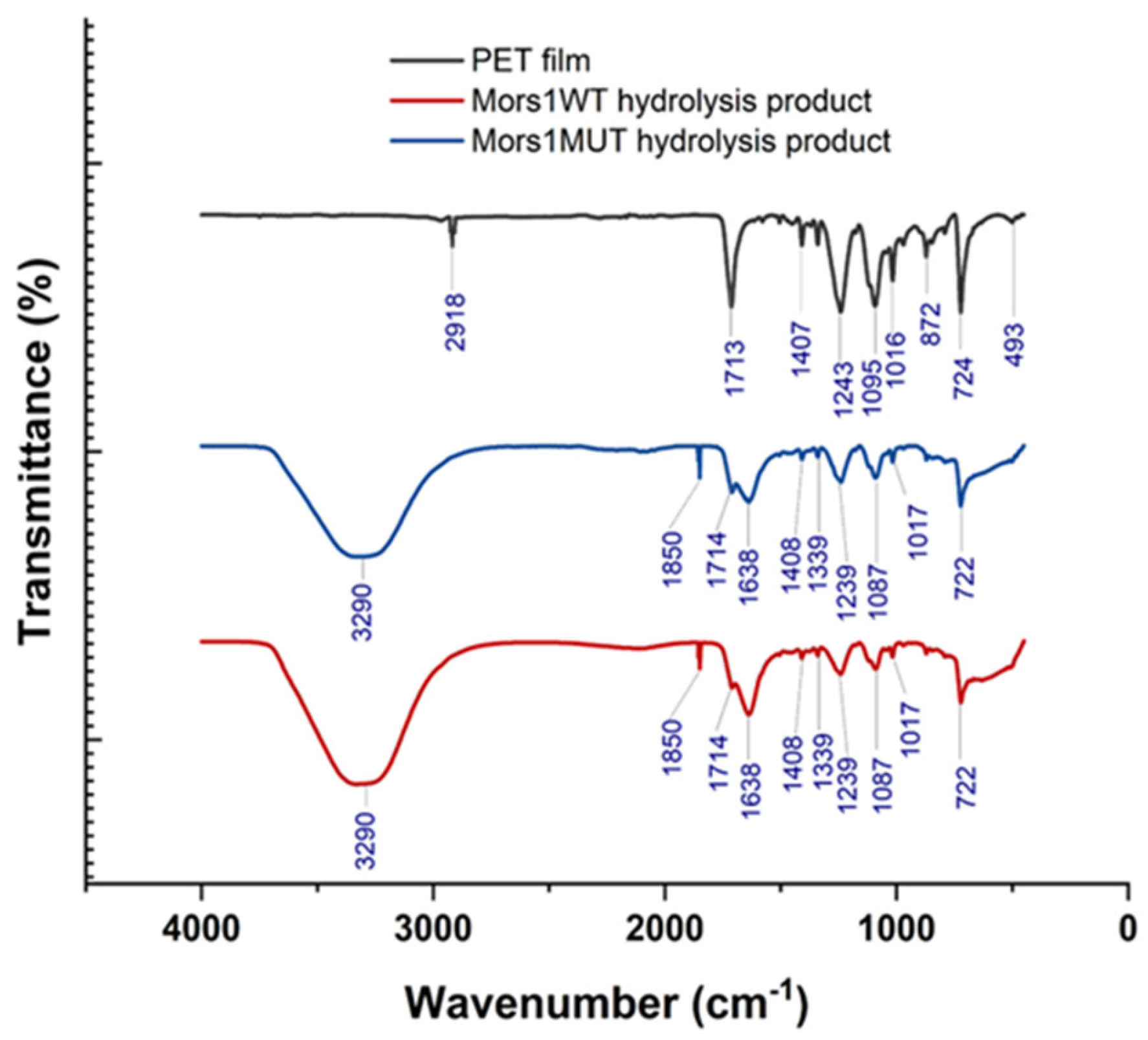 Processes 13 03320 g006