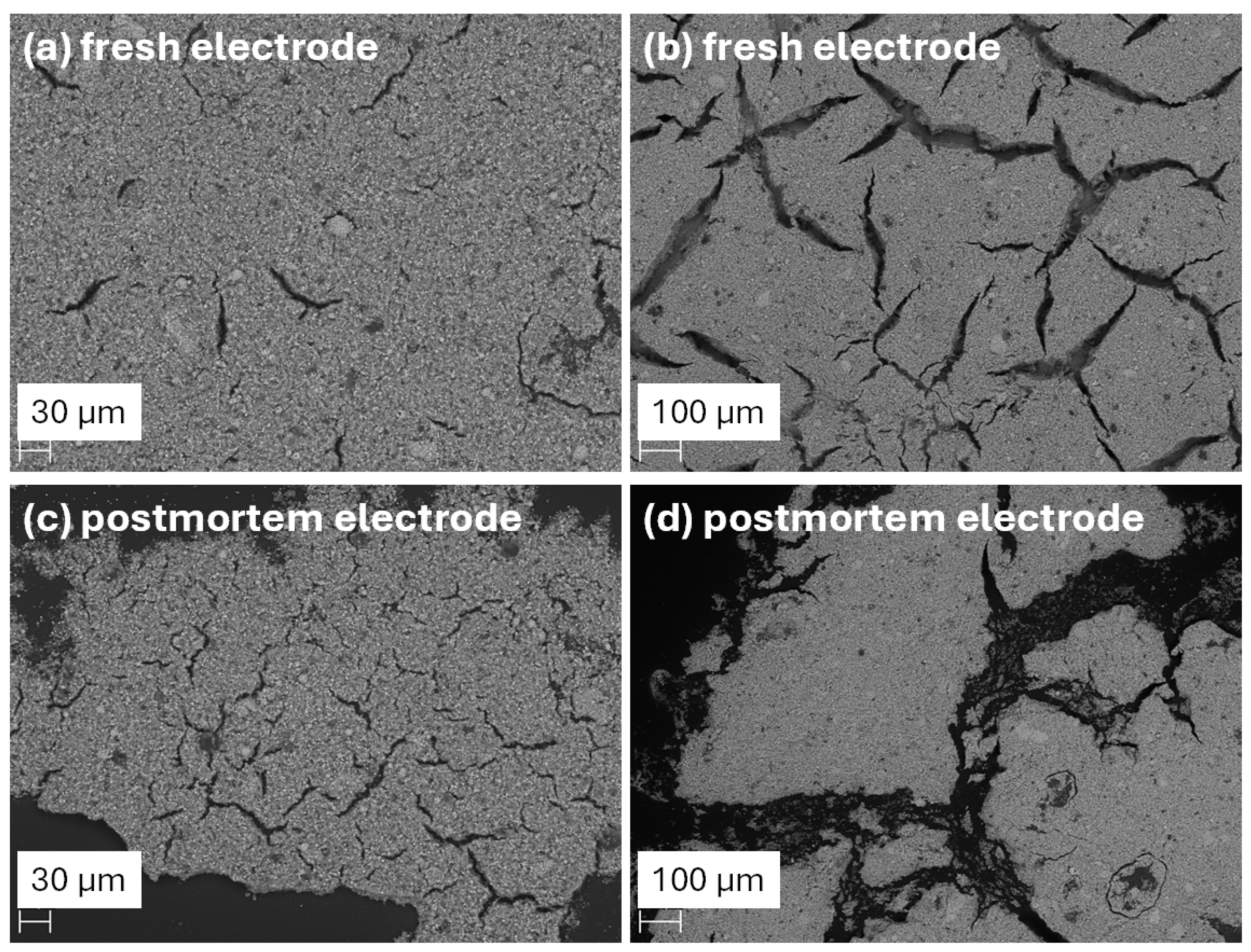 Processes 13 03338 g005