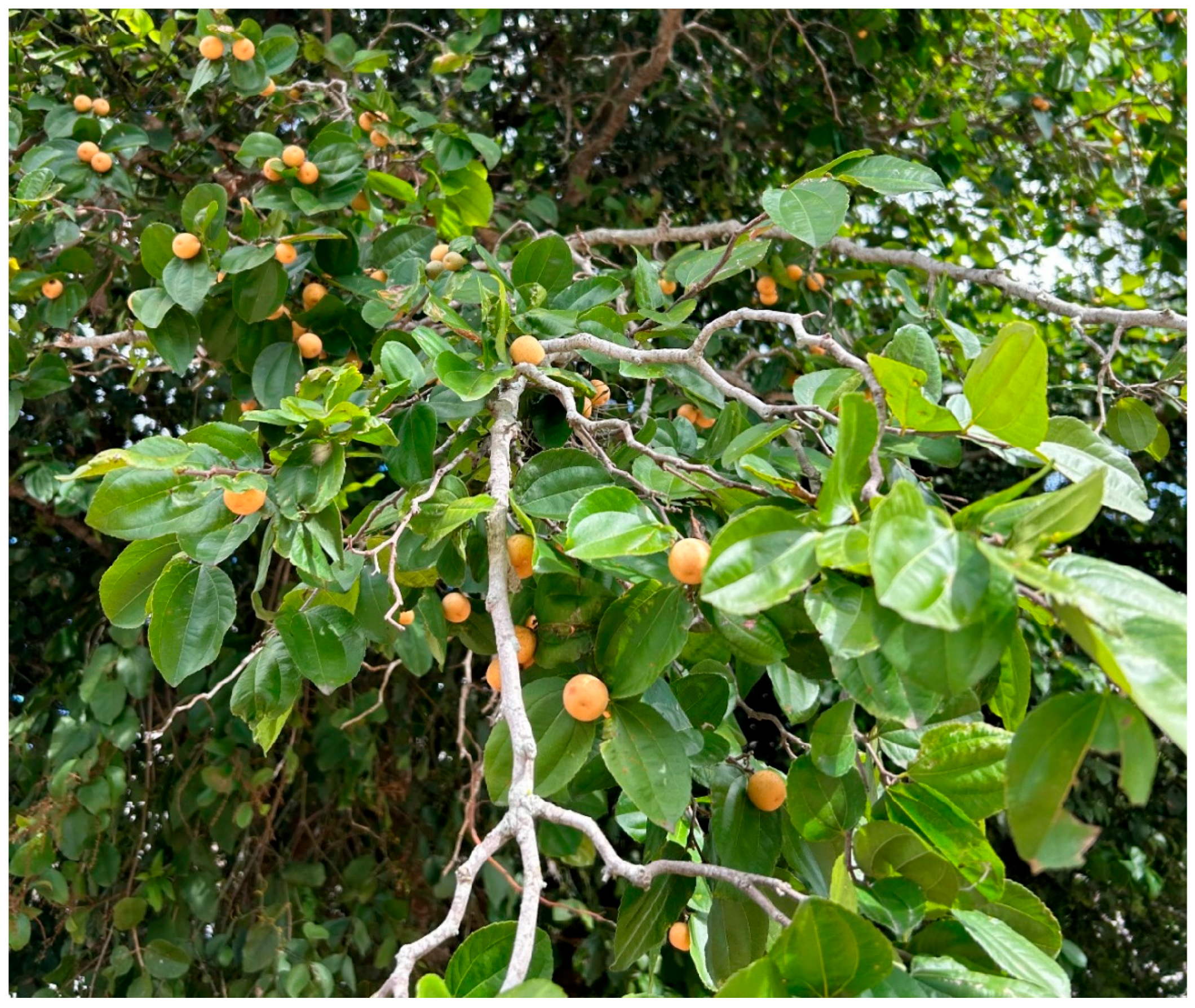 Processes 13 03352 g001