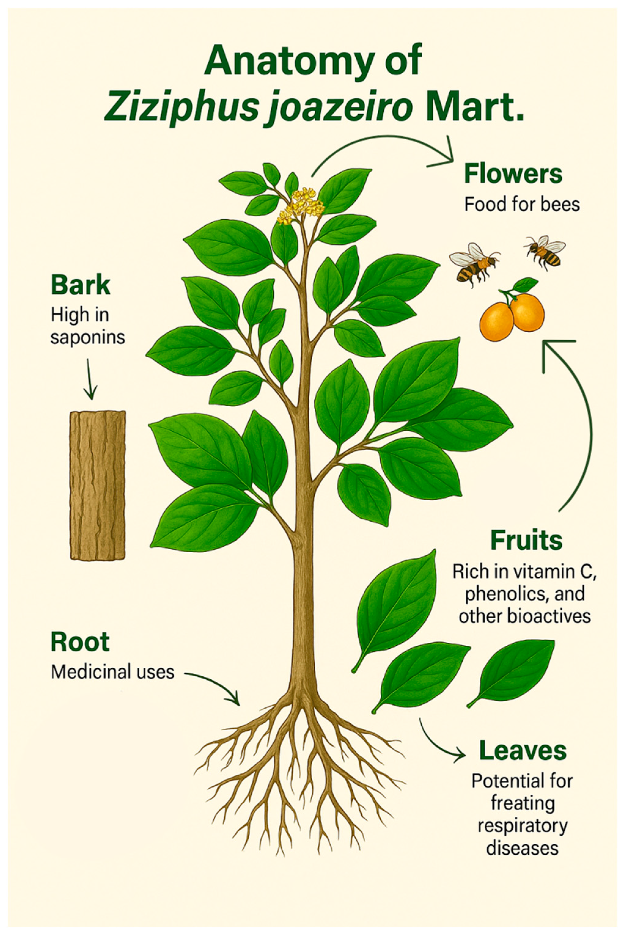 Processes 13 03352 g005