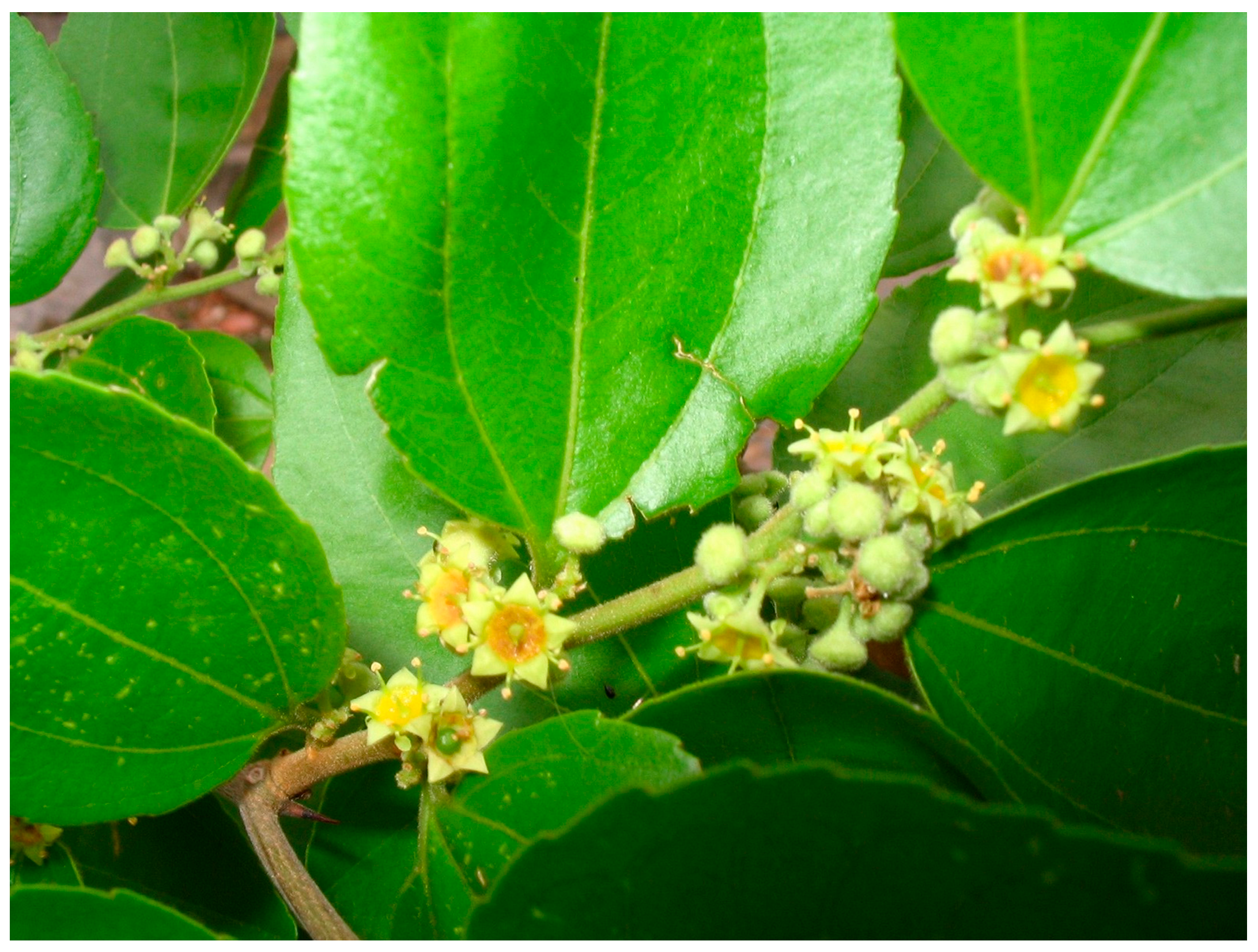 Processes 13 03352 g006