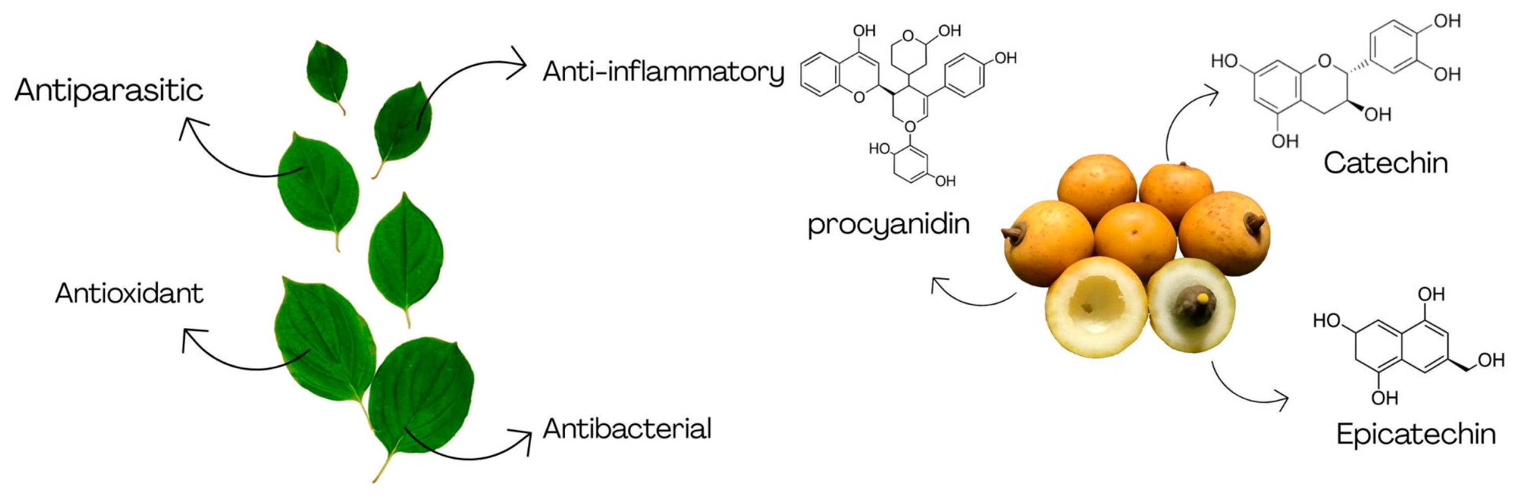 Processes 13 03352 g007