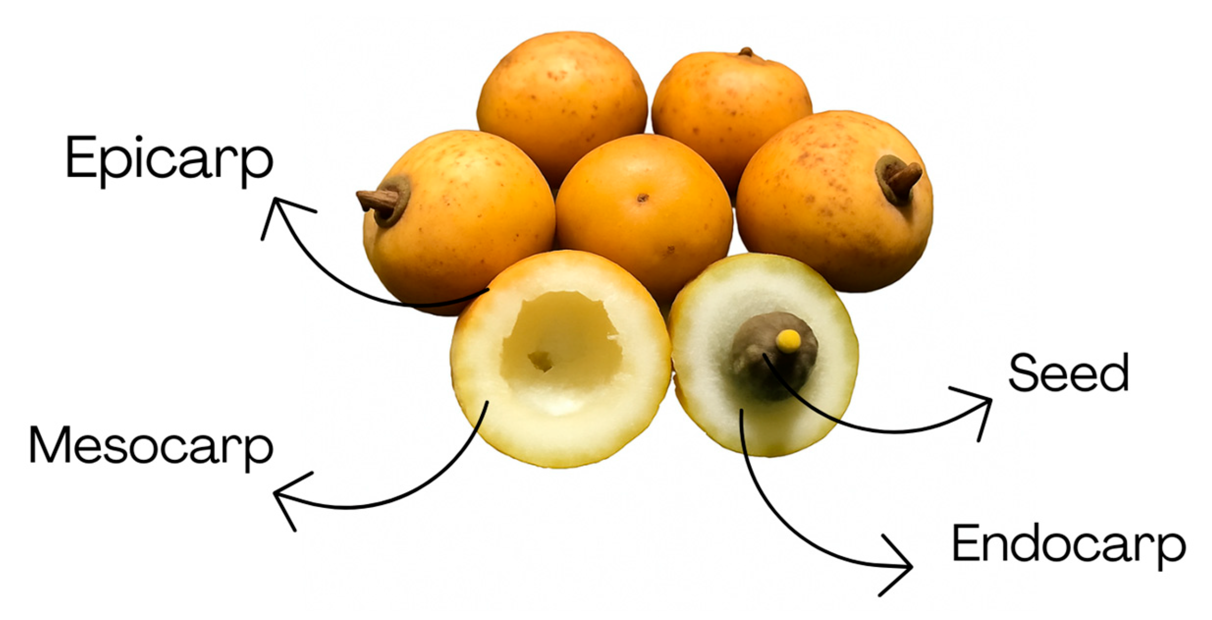 Processes 13 03352 g009