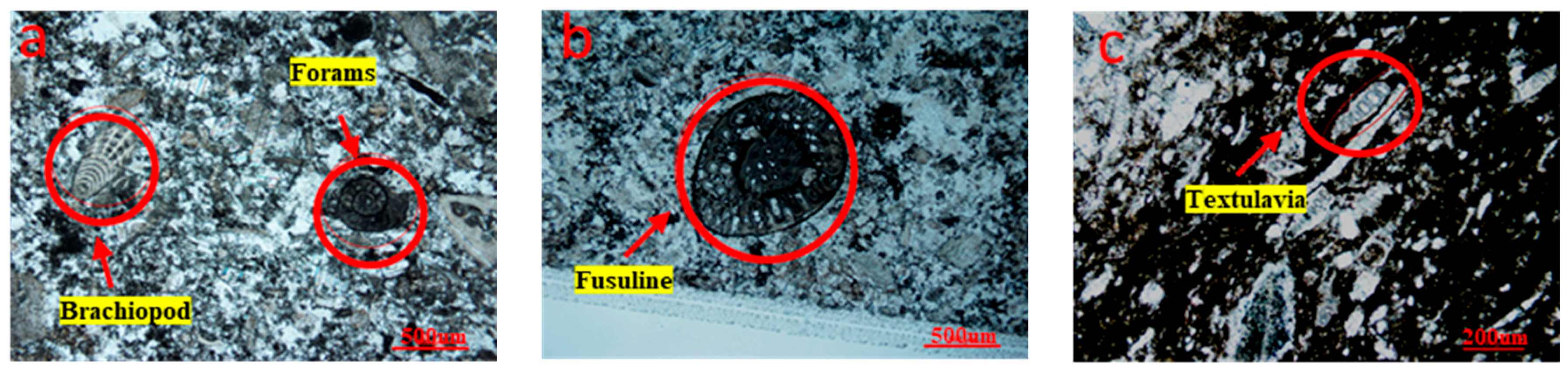 Processes 13 03353 g005a