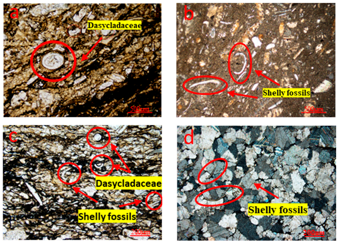 Processes 13 03353 g006