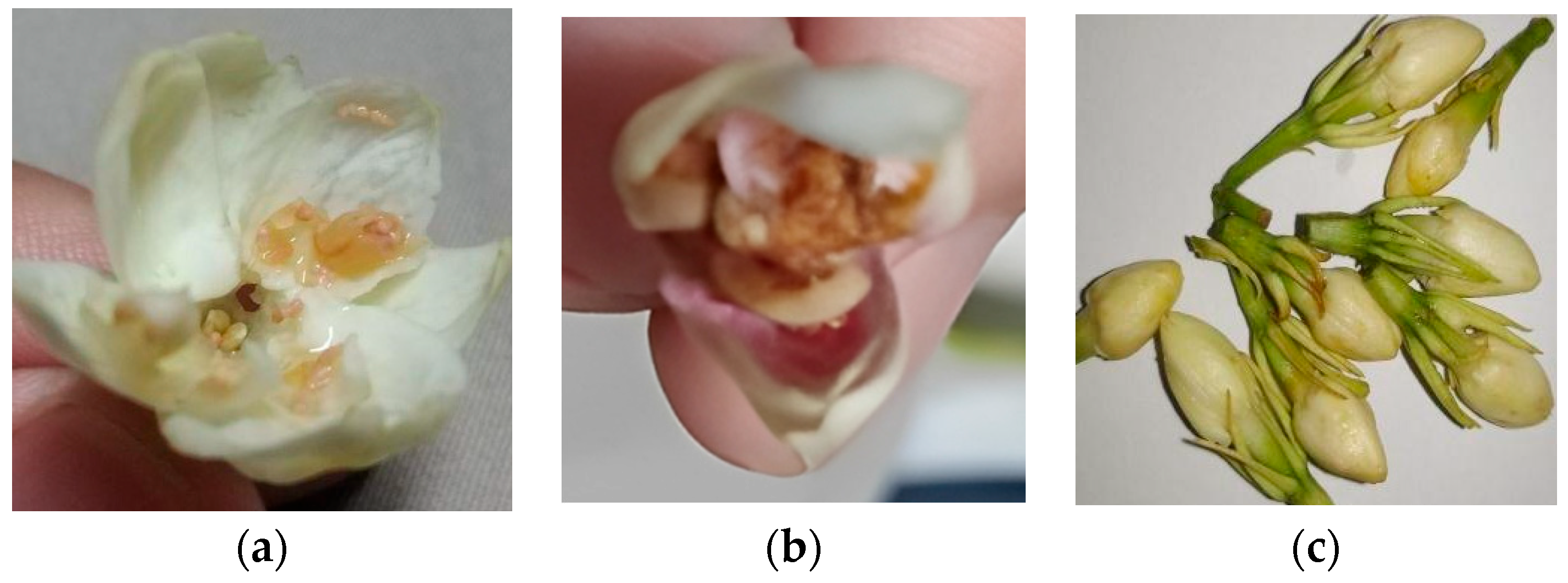Processes 13 03369 g001a