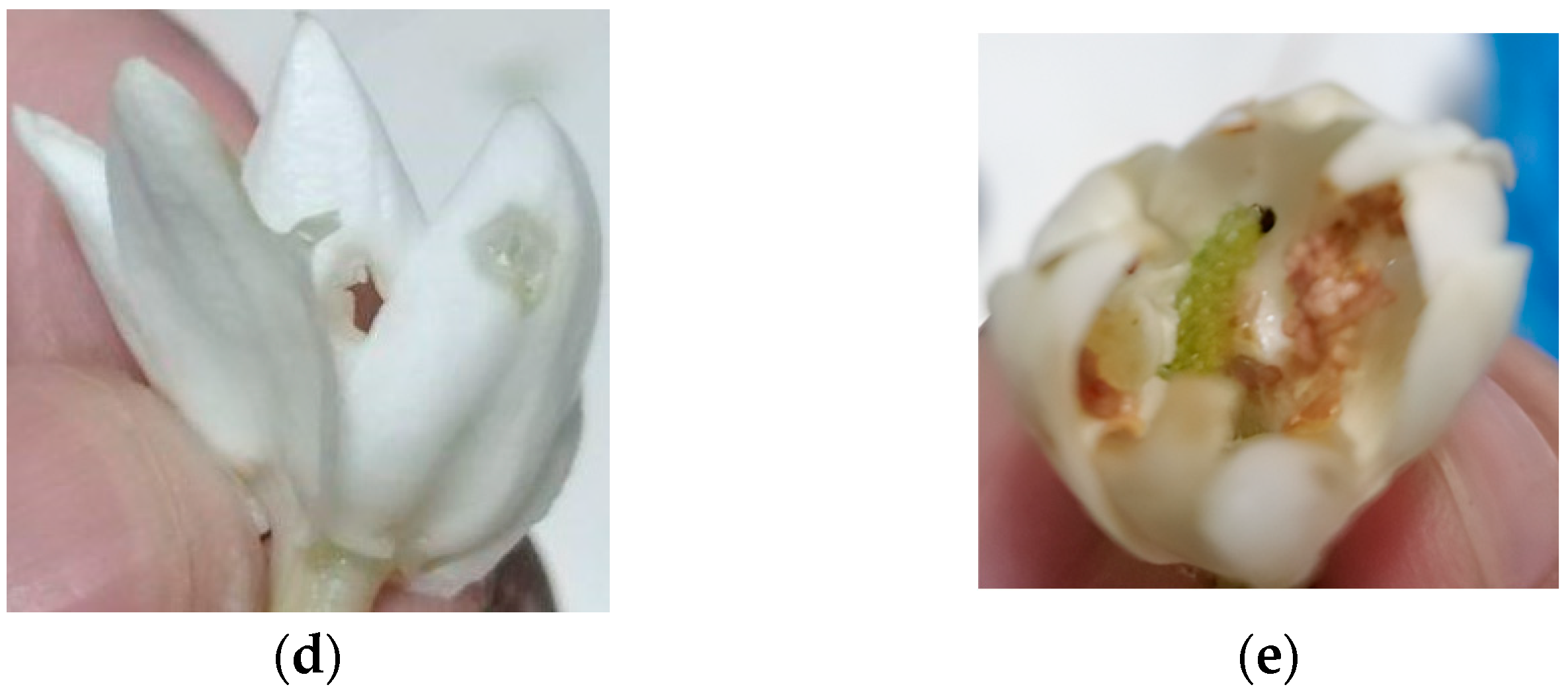 Processes 13 03369 g001b