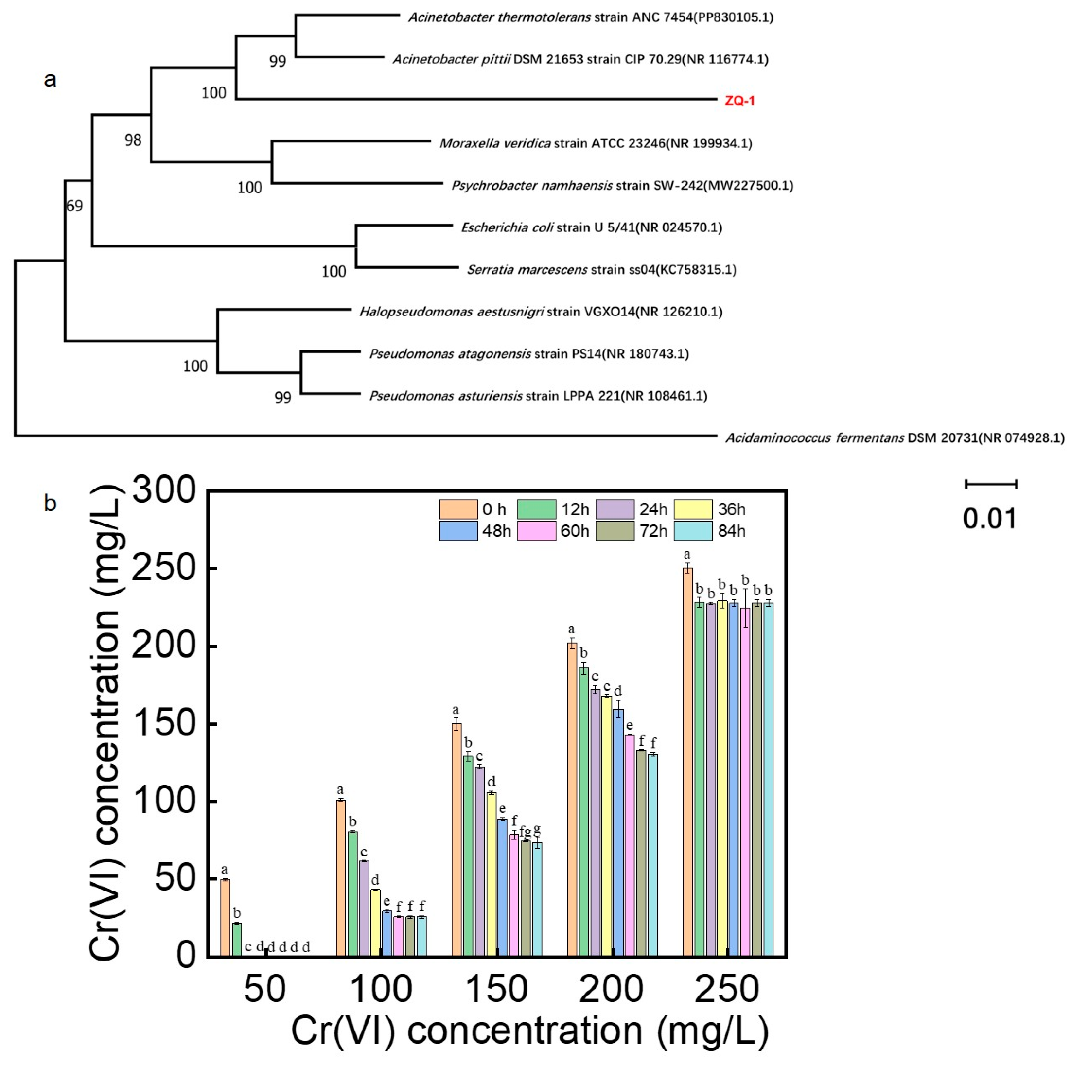 Processes 13 03423 g001