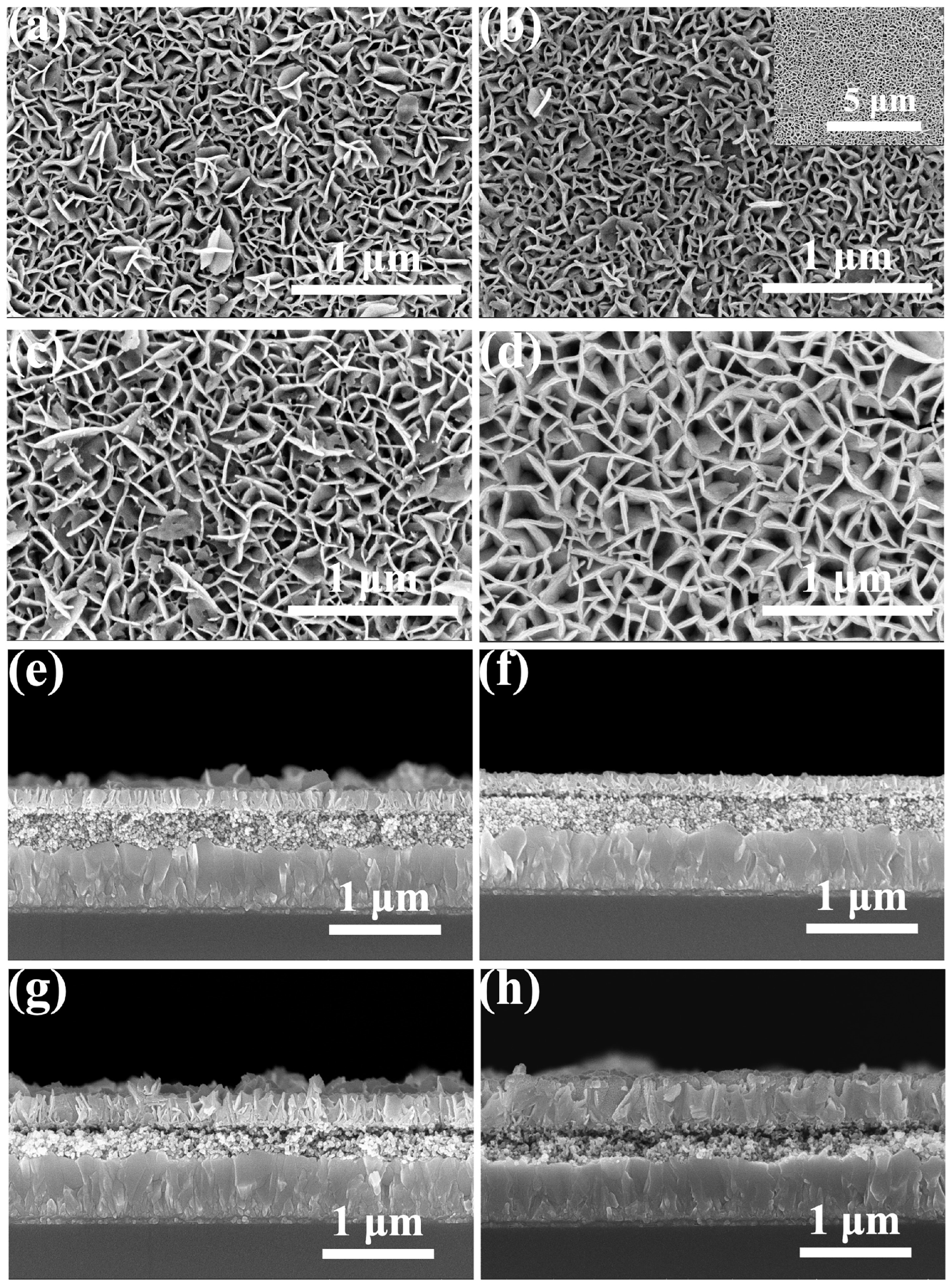 Processes 13 03428 g002