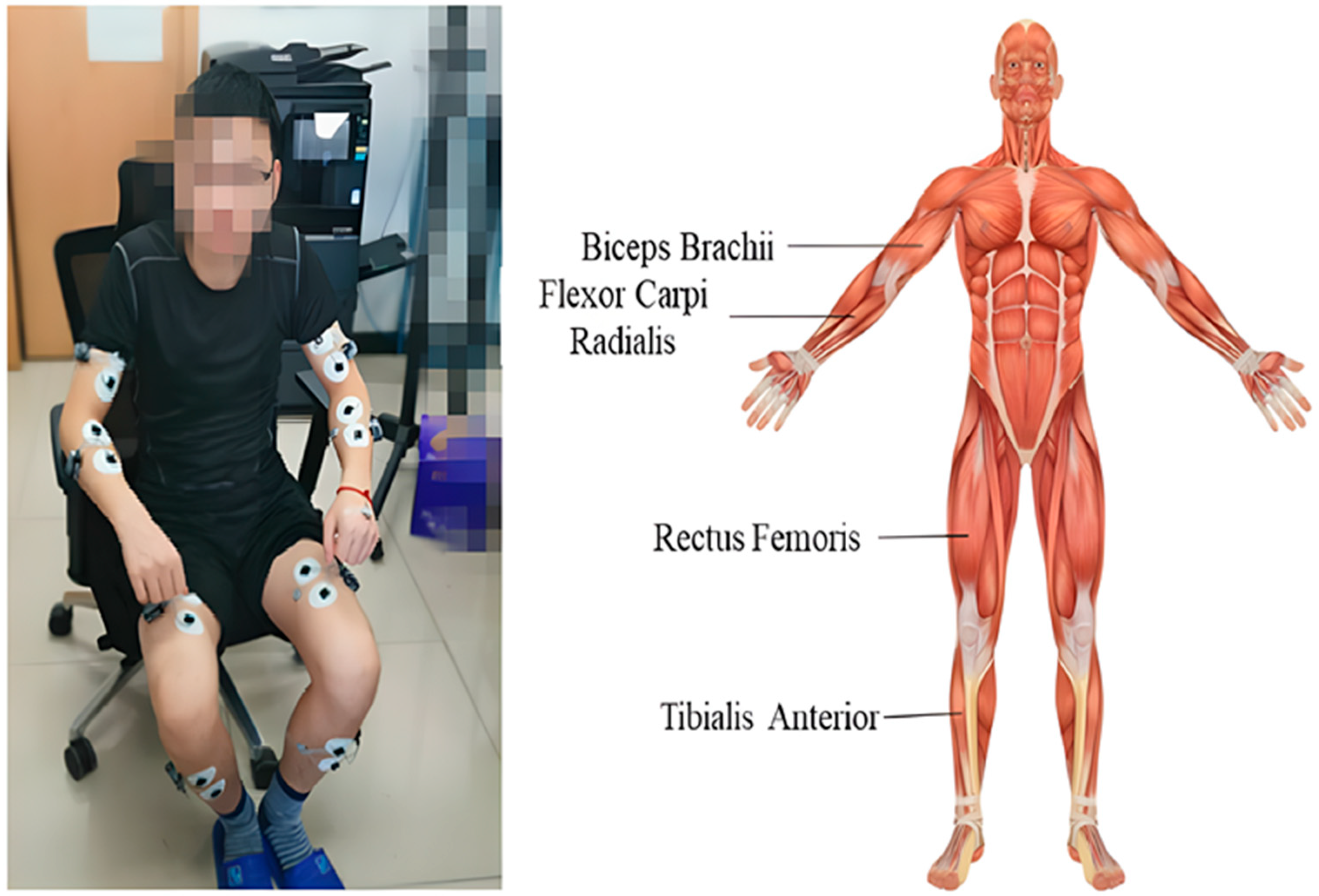Processes 13 03476 g002