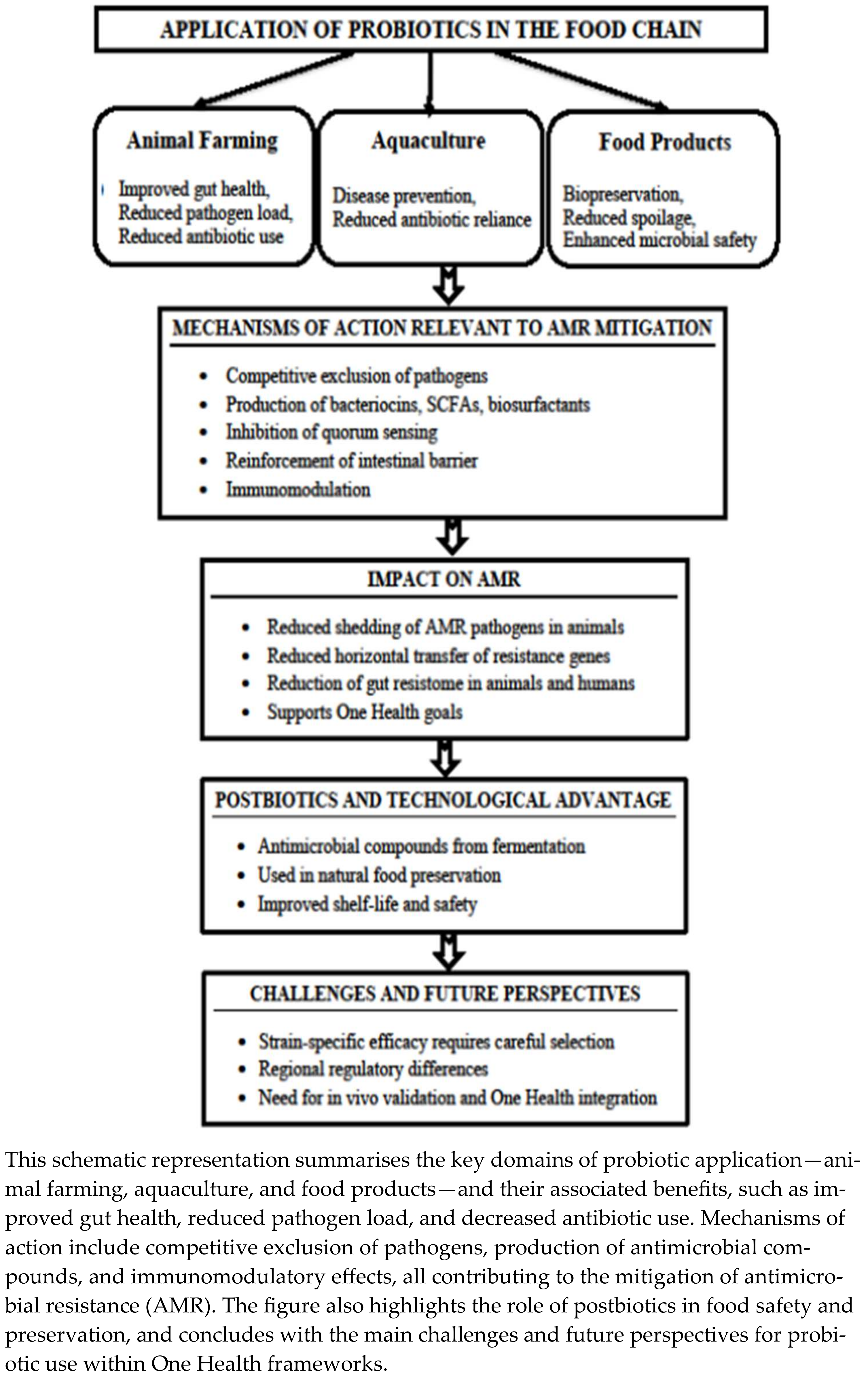 Processes 13 03483 g001 Processes 13 03483 g001