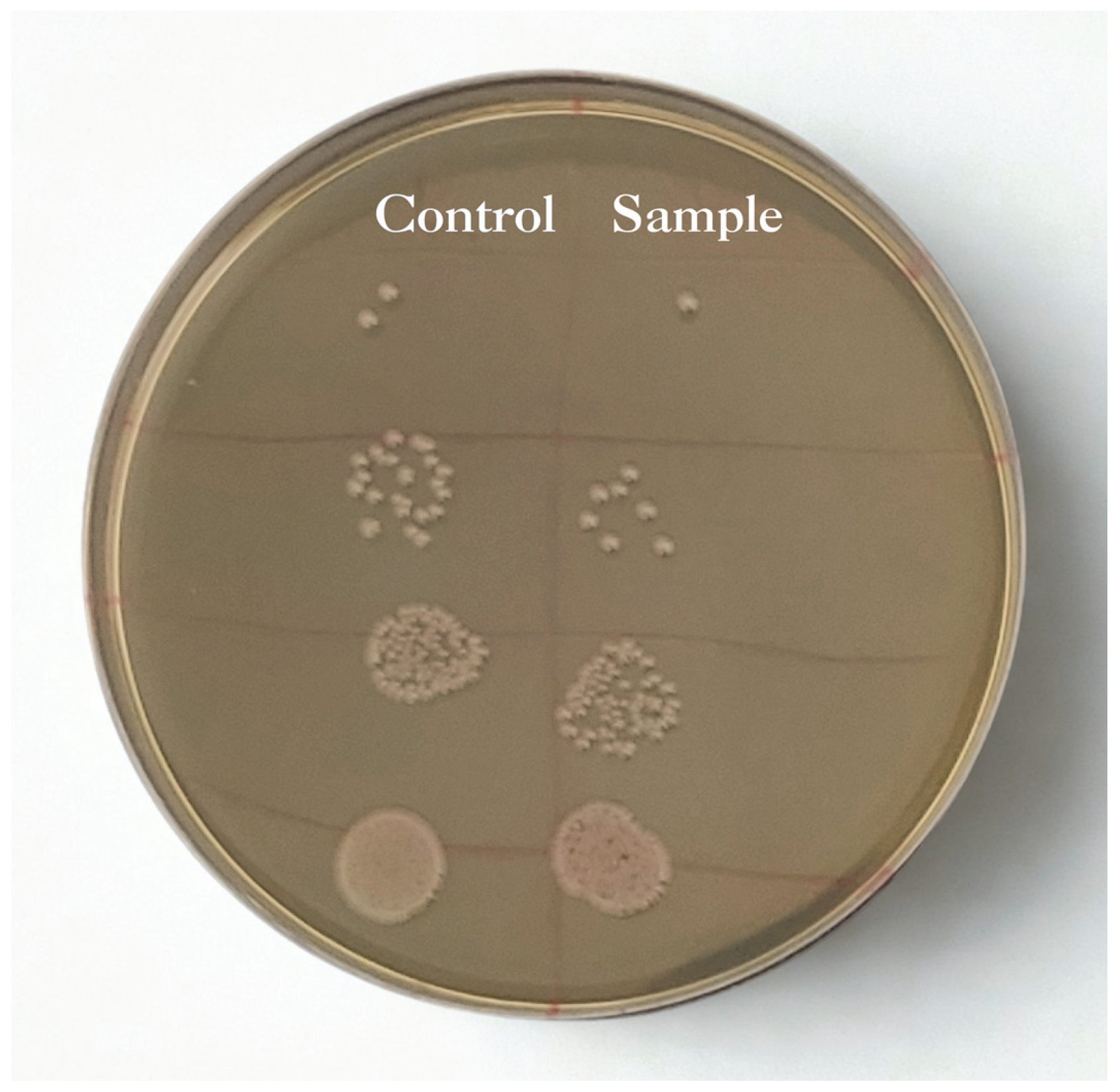 Processes 13 03485 g008