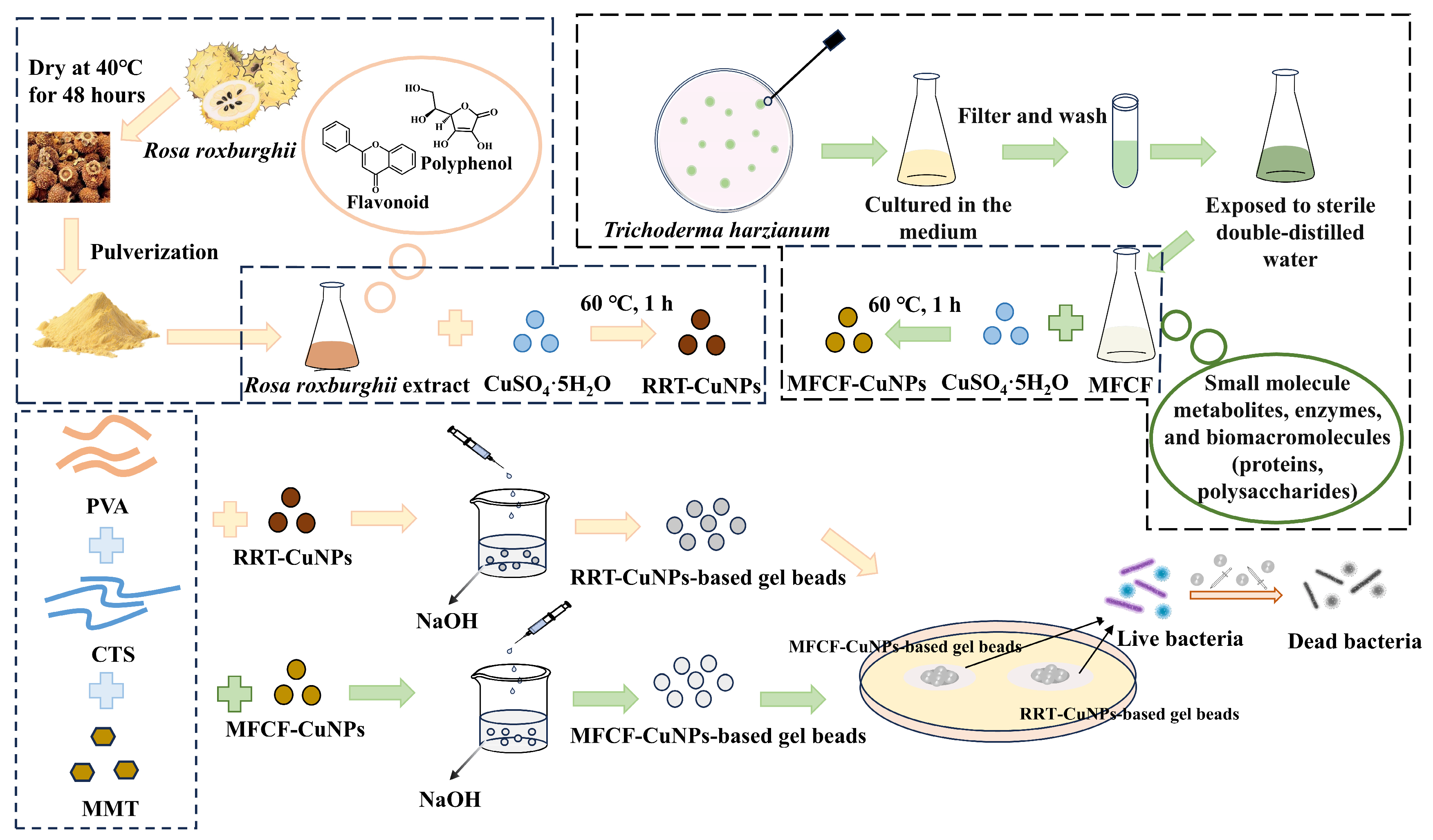 Processes 13 03518 g001