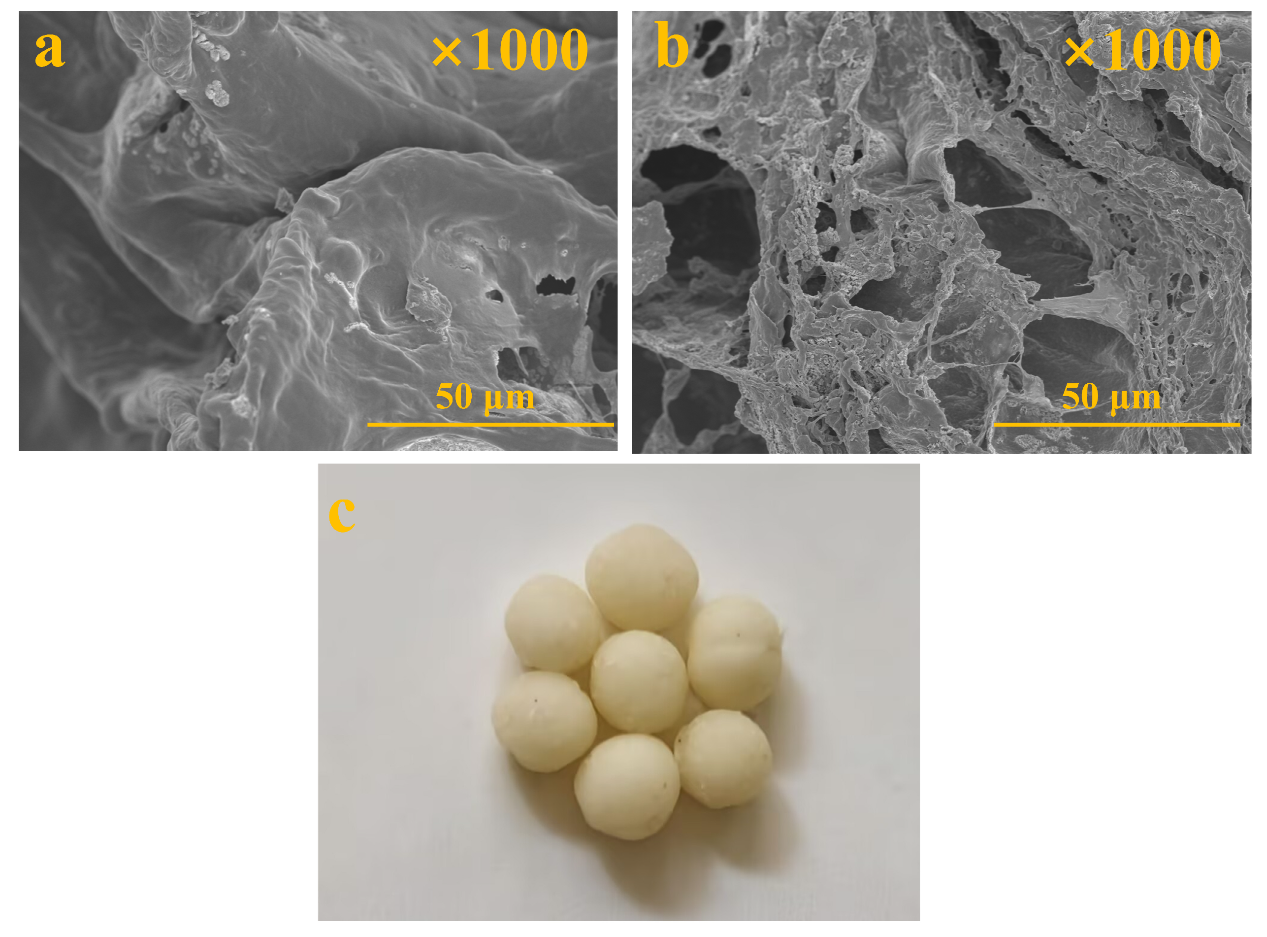 Processes 13 03518 g007