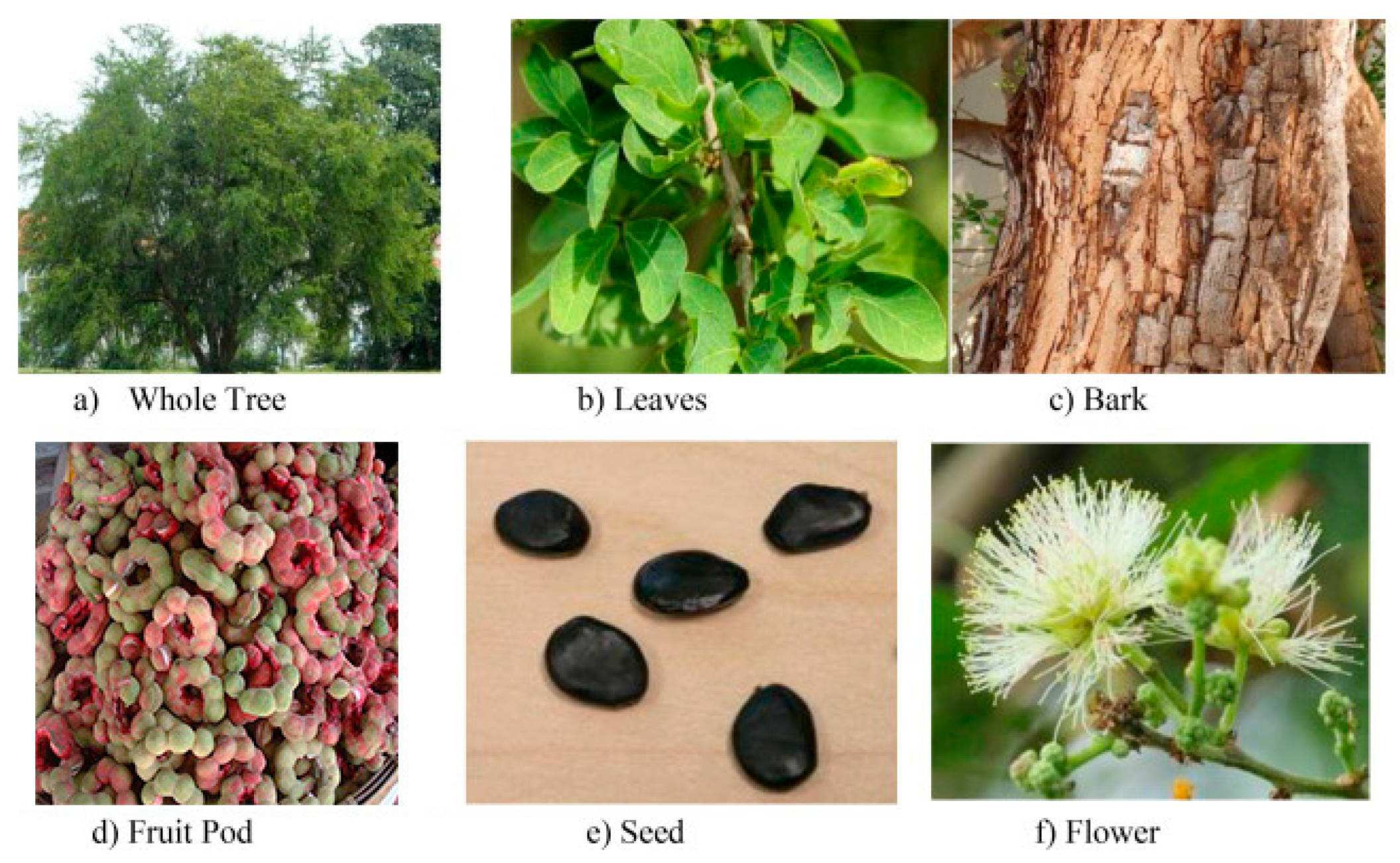 Processes 13 03554 g001