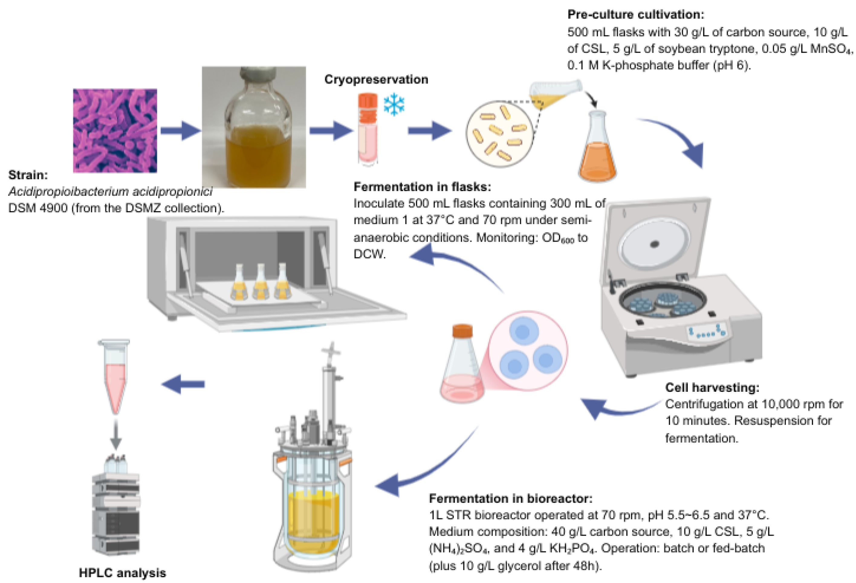 Processes 13 03556 g001