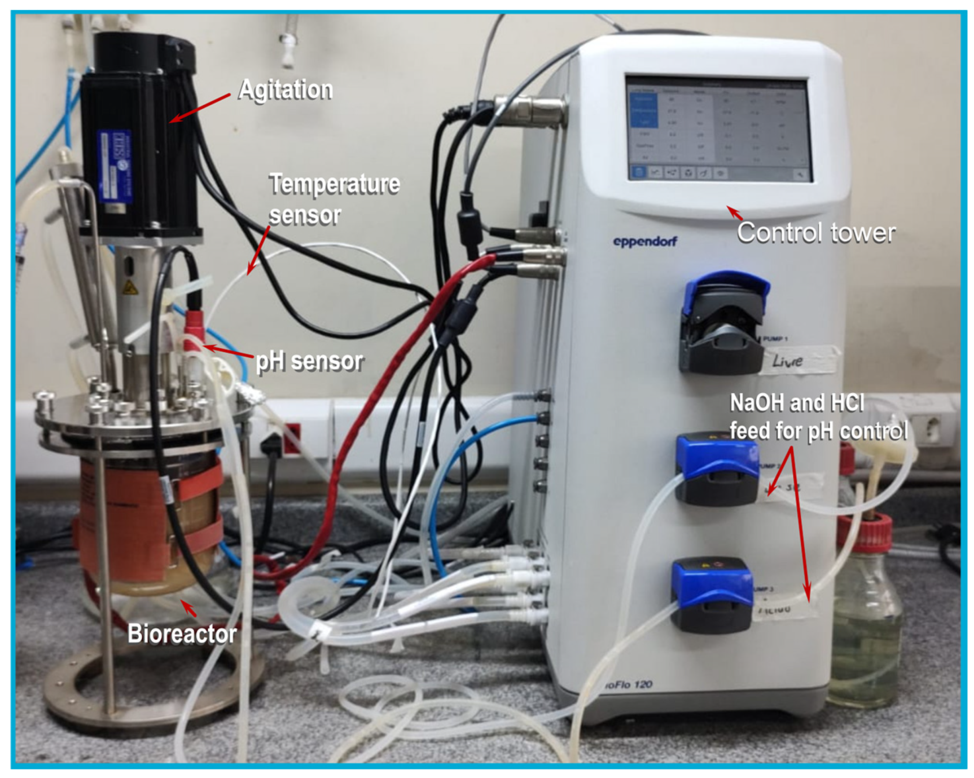Processes 13 03556 g002