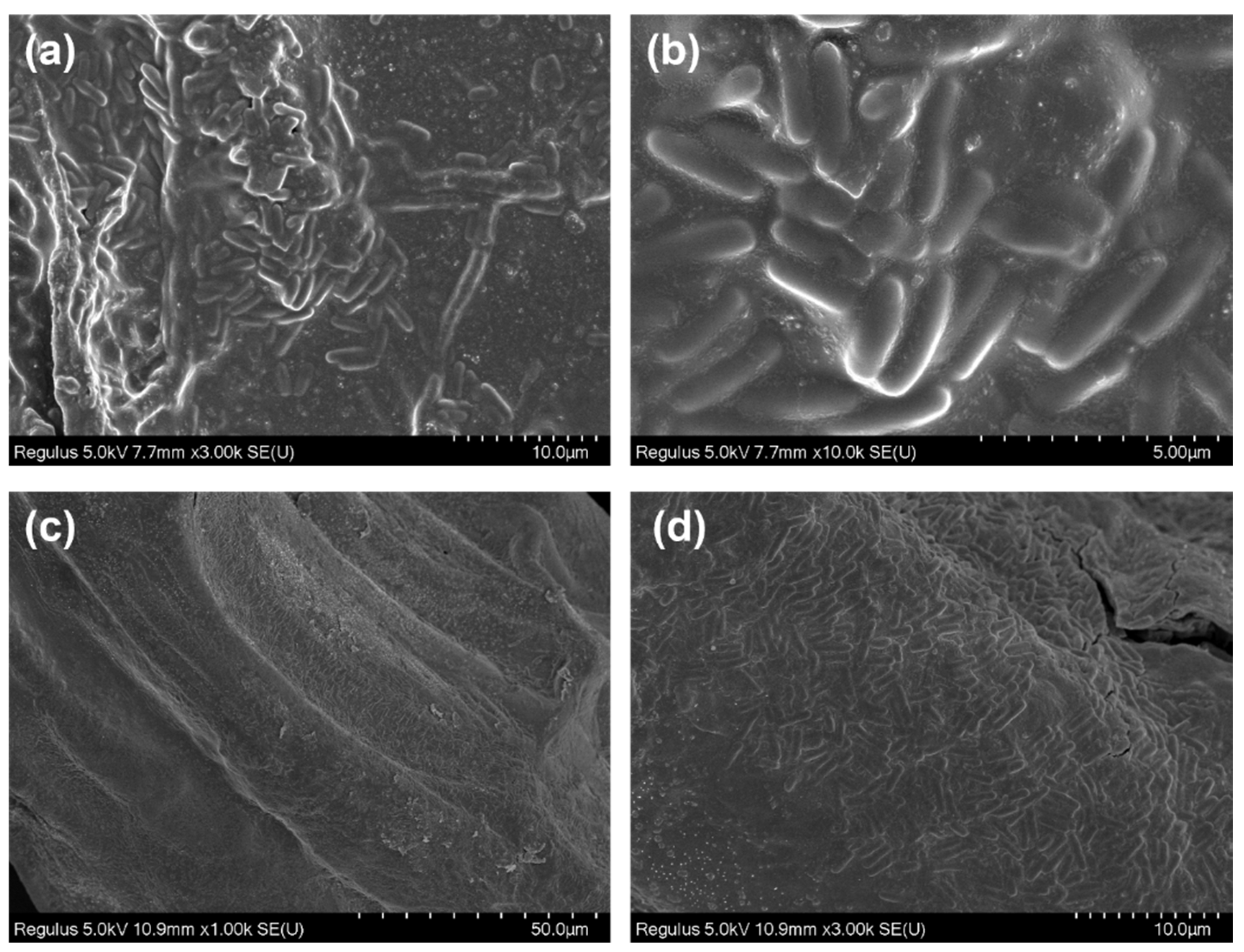Processes 13 03567 g004 Processes 13 03567 g004