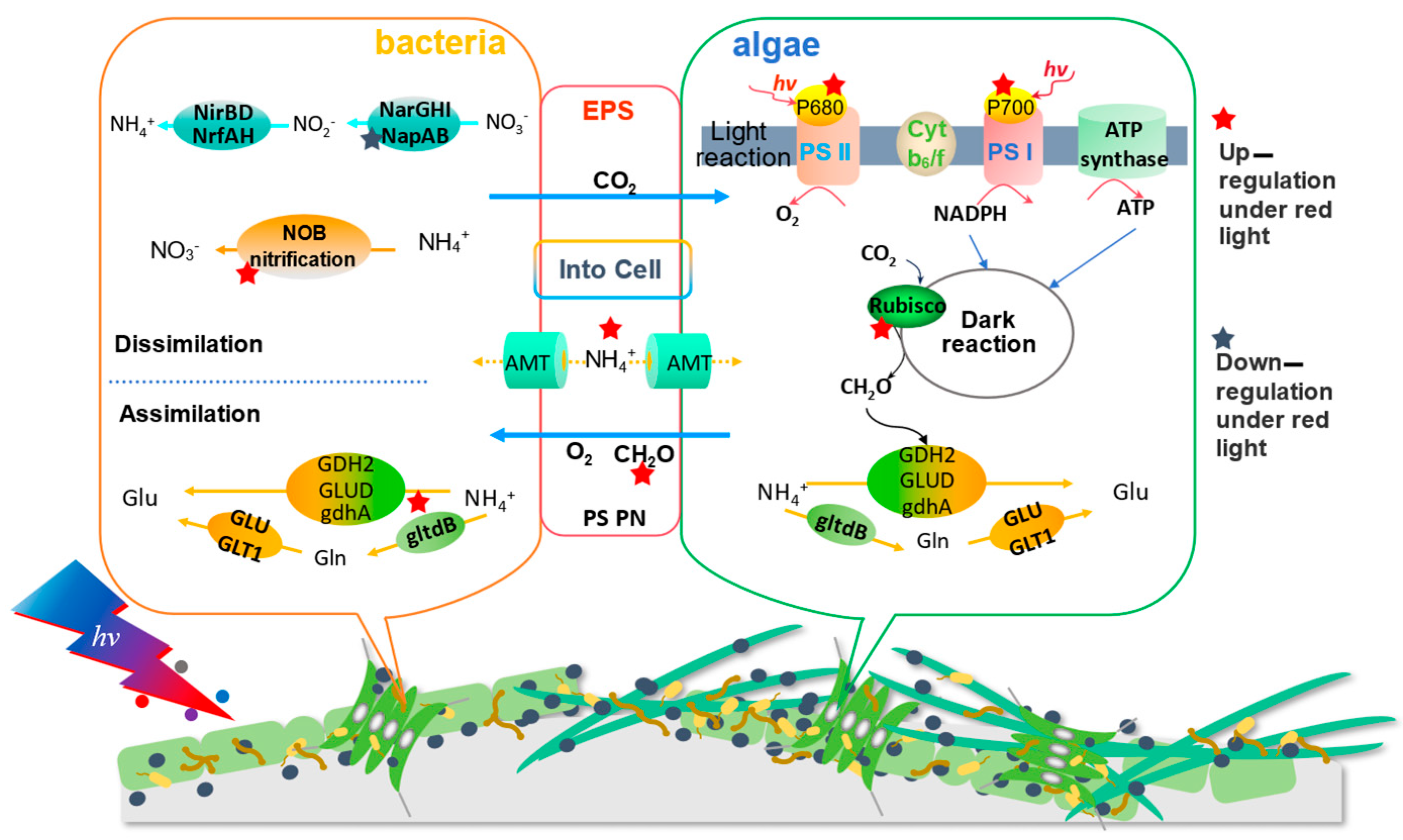 Processes 13 03594 g006