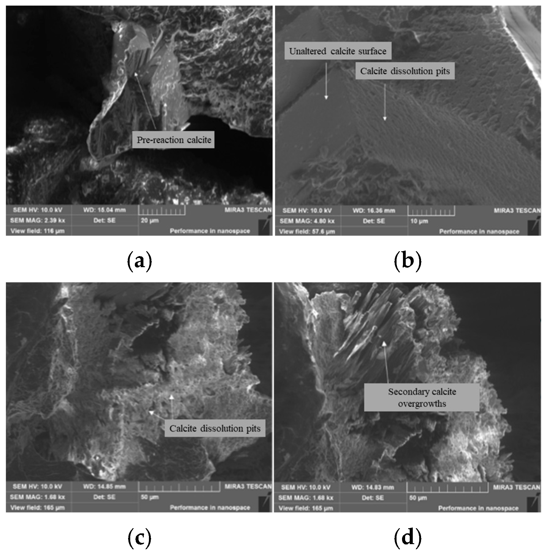 Processes 13 03644 g006 Processes 13 03644 g006