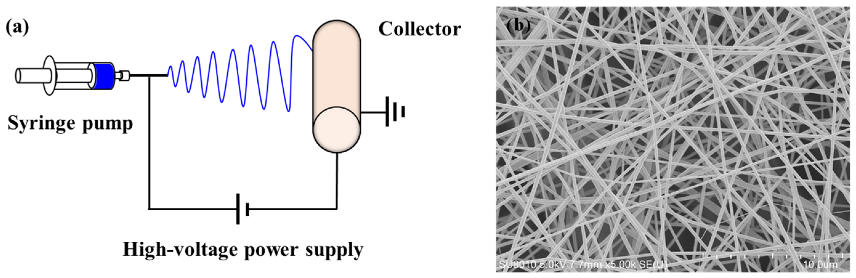 Processes 13 03645 g001