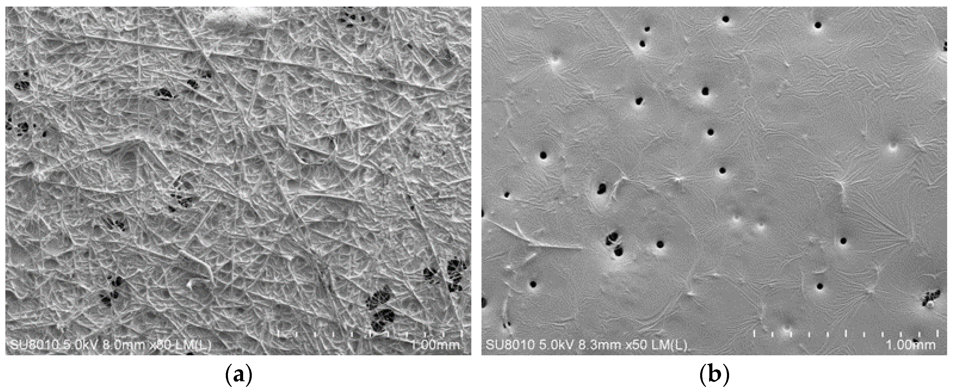 Processes 13 03645 g009