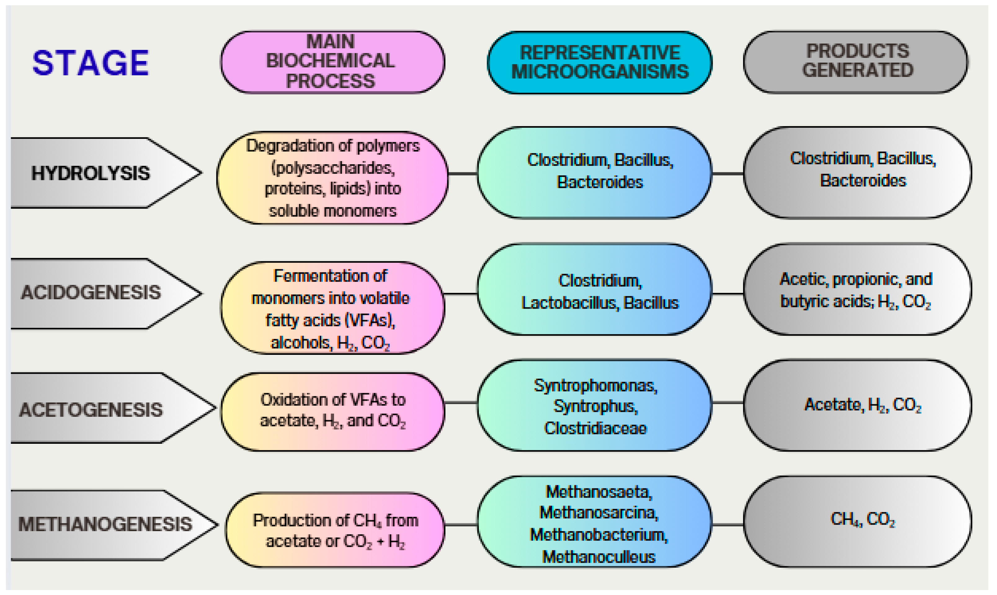 Processes 13 03648 g011