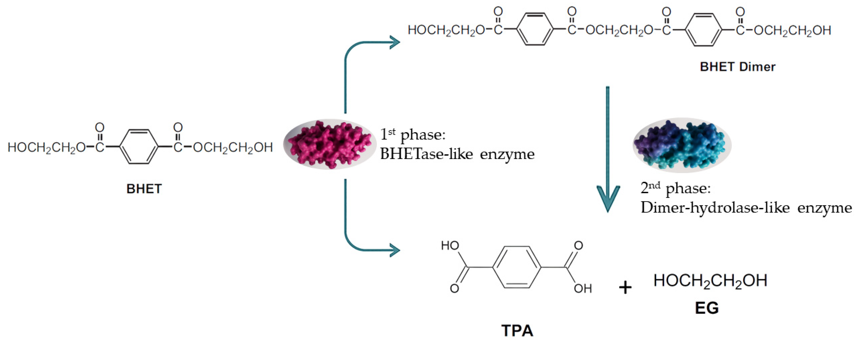 Processes 13 03663 g003