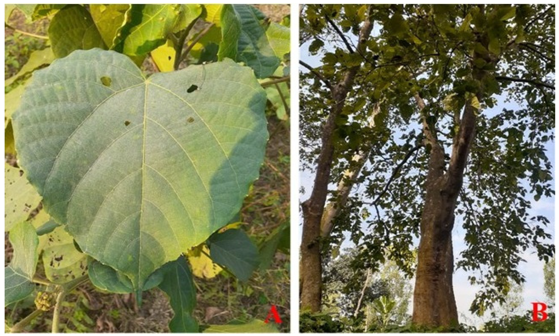 Processes 13 03691 g001