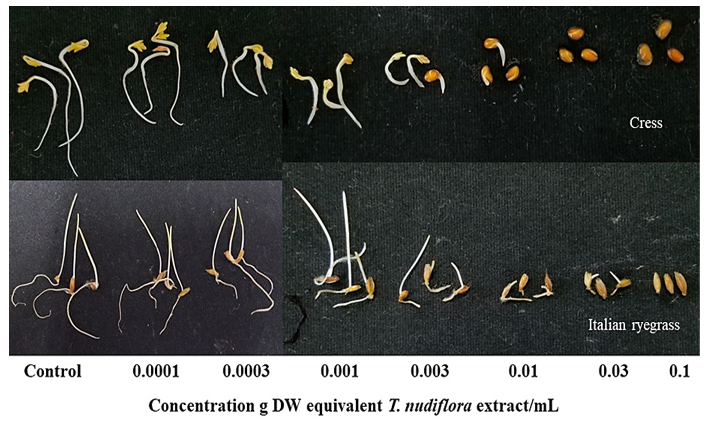 Processes 13 03691 g002