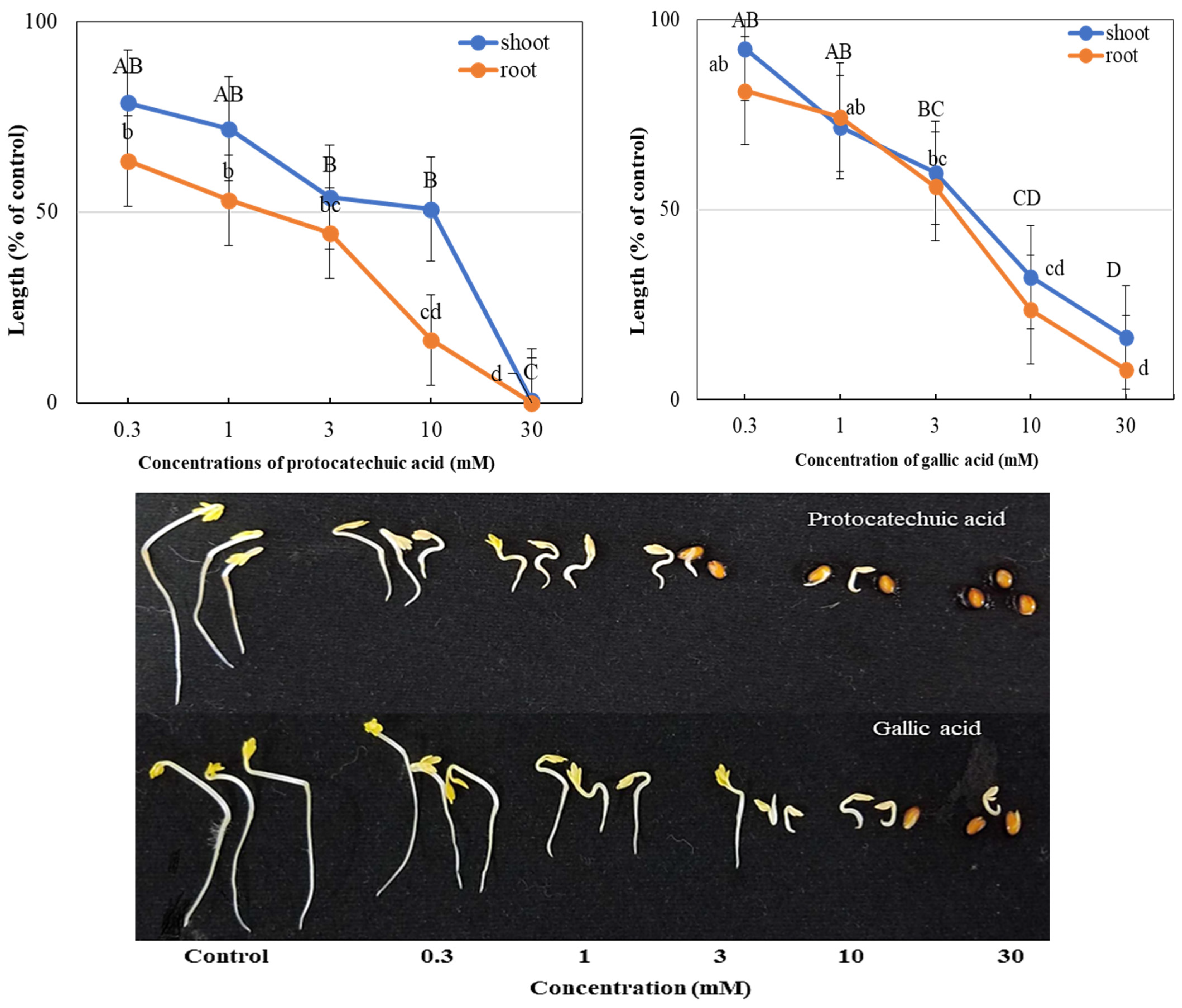 Processes 13 03691 g005