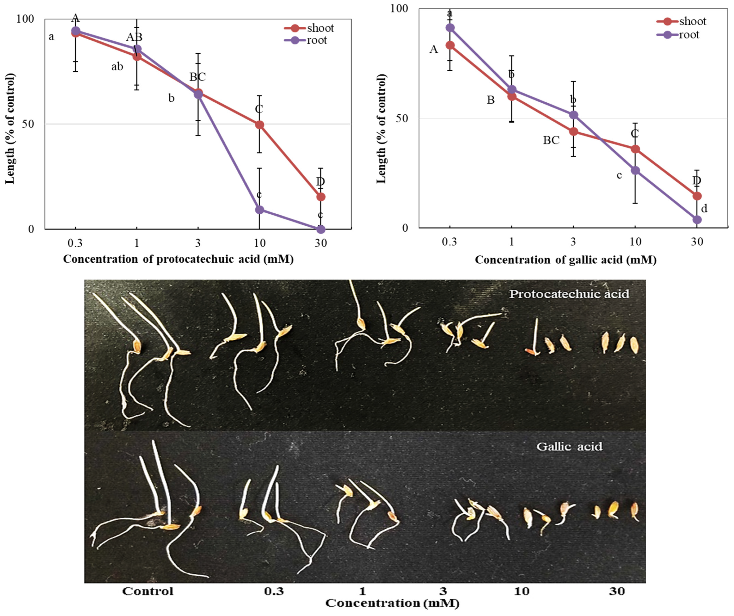 Processes 13 03691 g006