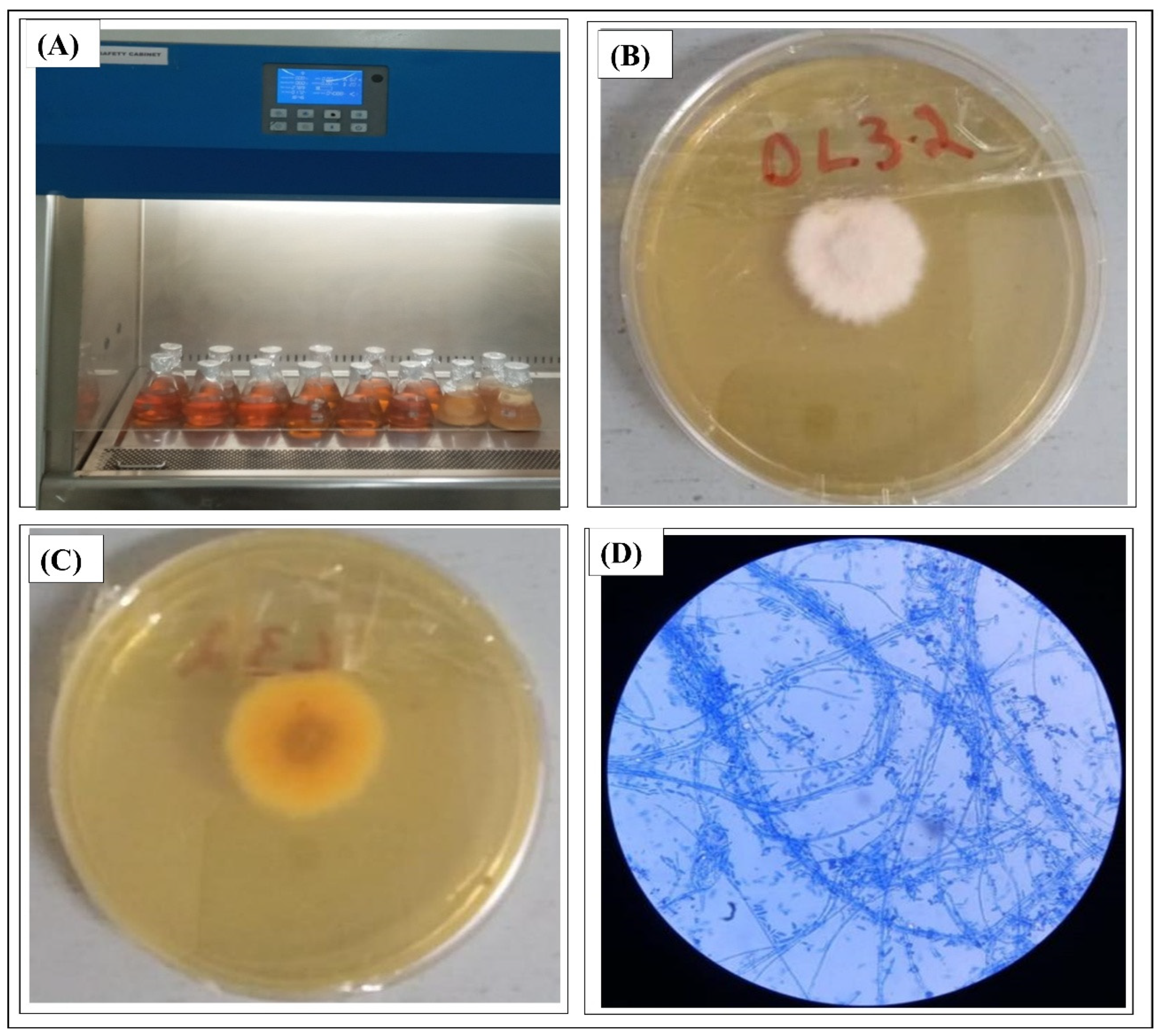 Processes 13 03729 g001
