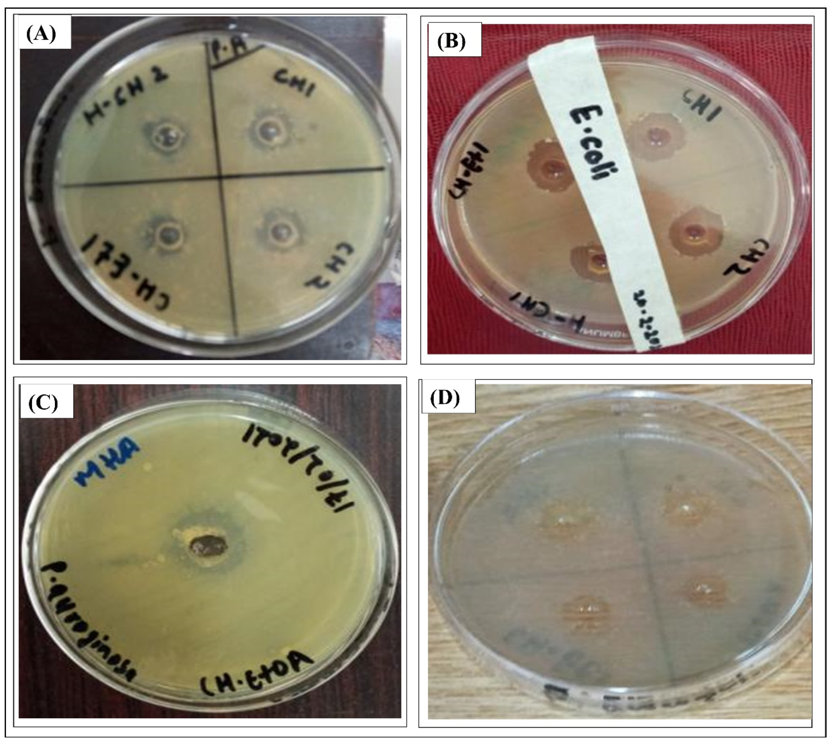 Processes 13 03729 g002