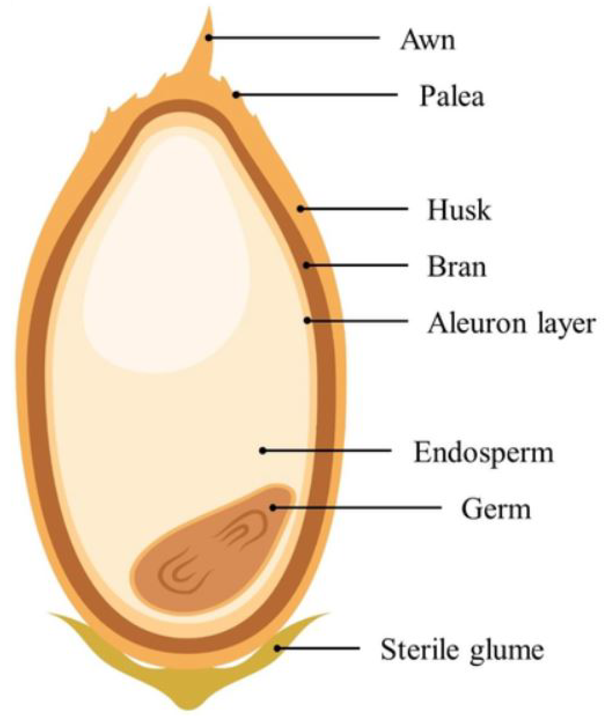 Processes 13 03731 g007