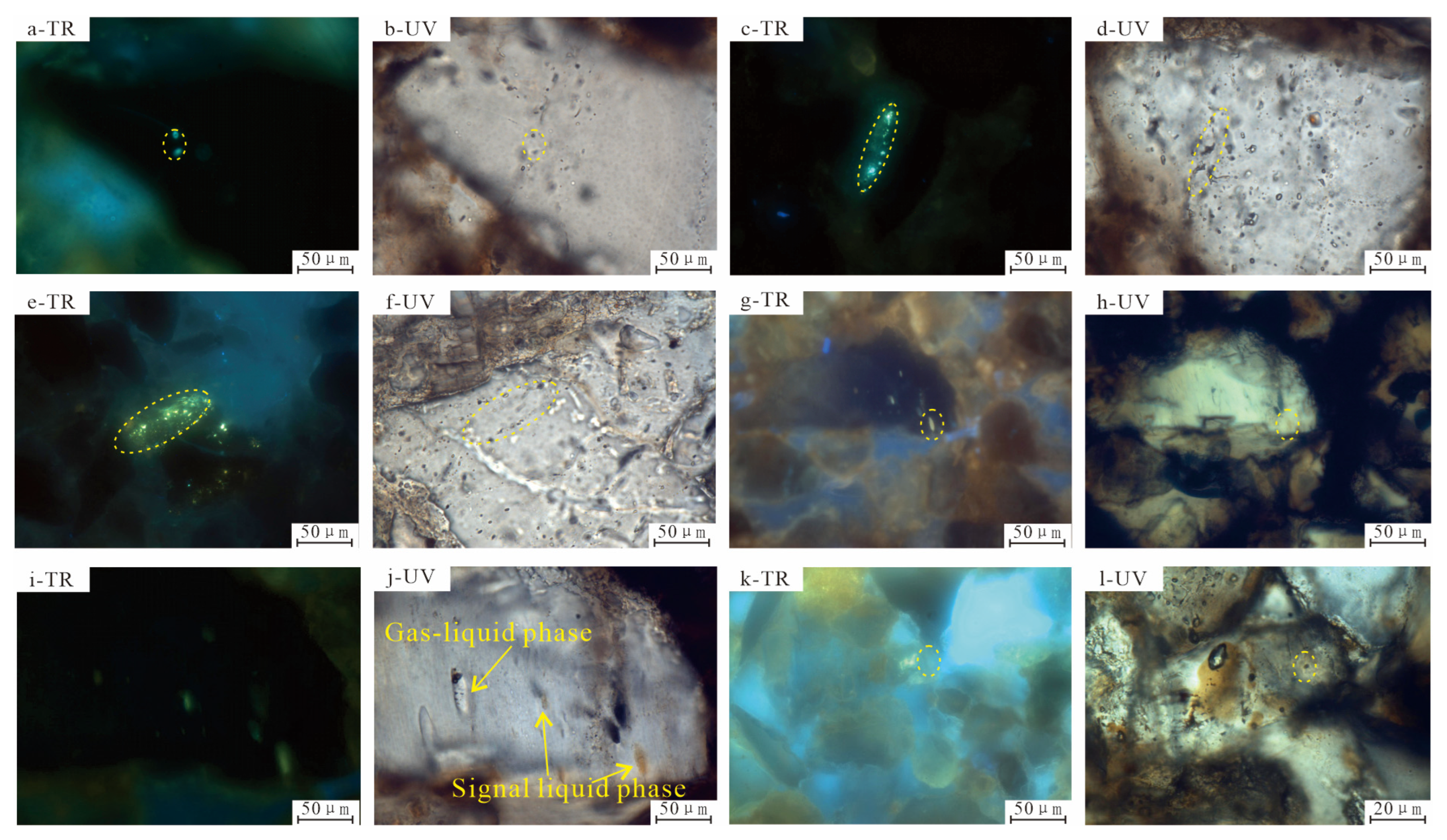 Processes 13 03744 g003 Processes 13 03744 g003