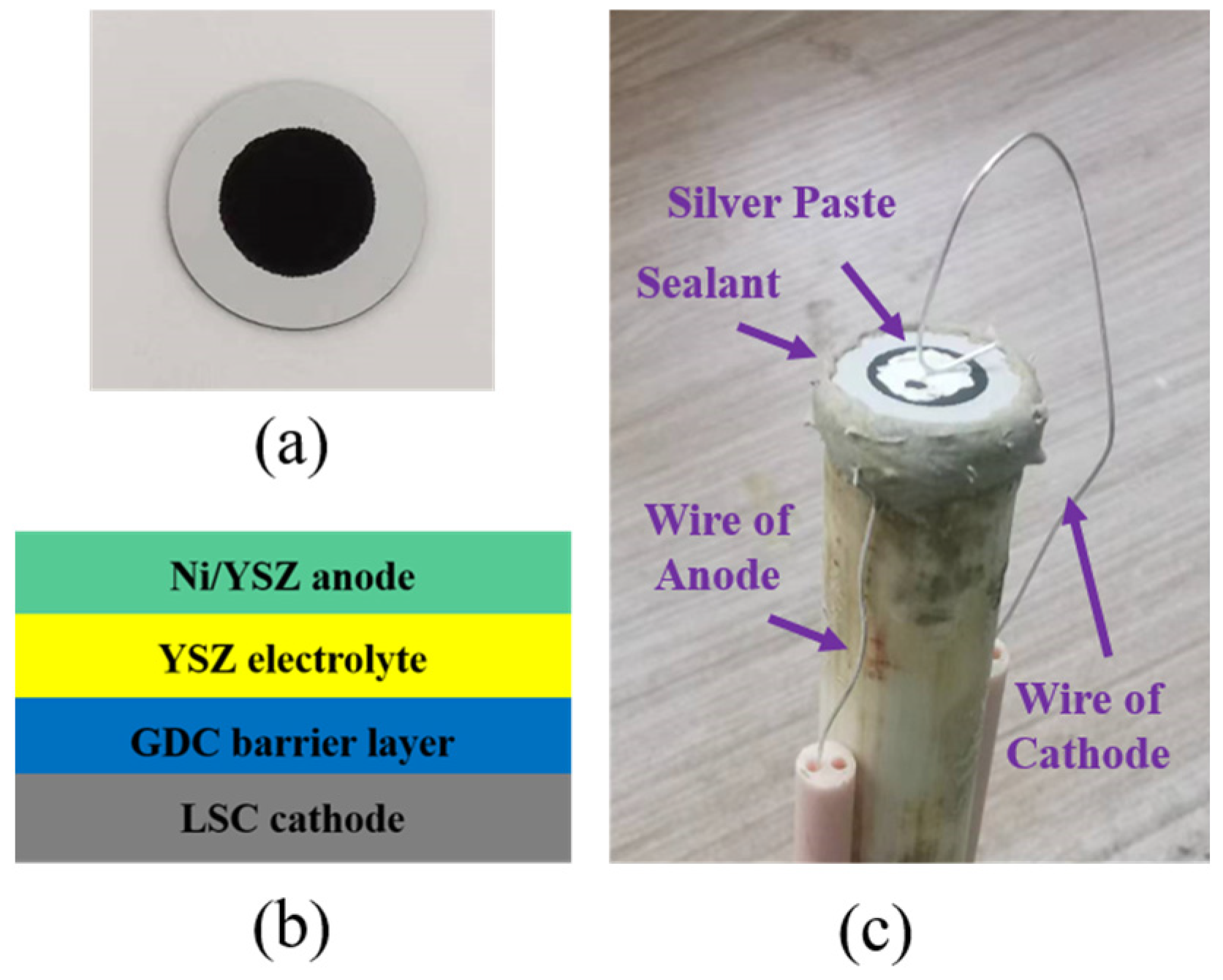 Yellow Button Cell Thermal Cycling Stability of NiO/YSZ Anode-Supported SOFC Button Cells ...