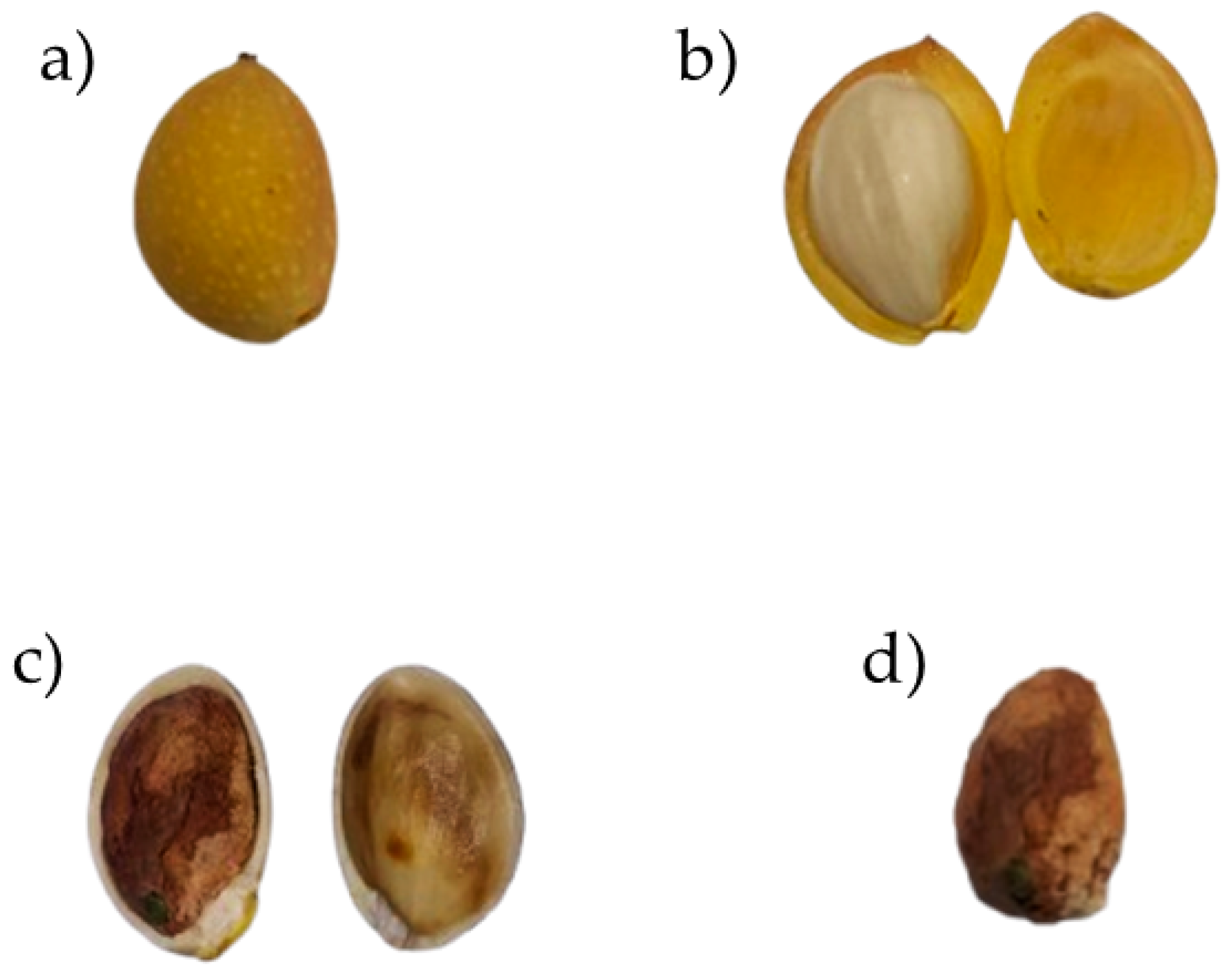 Processes 13 03761 g002