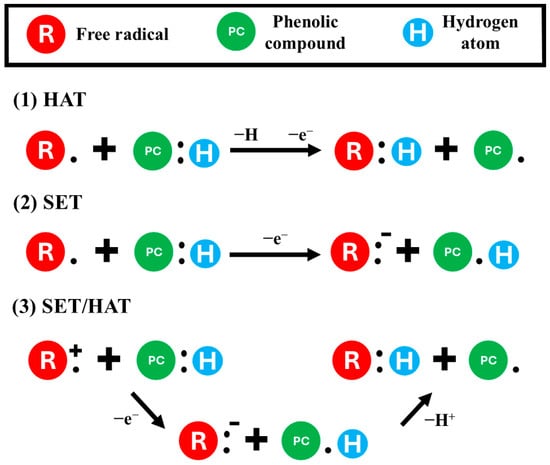 Processes 13 03761 g005