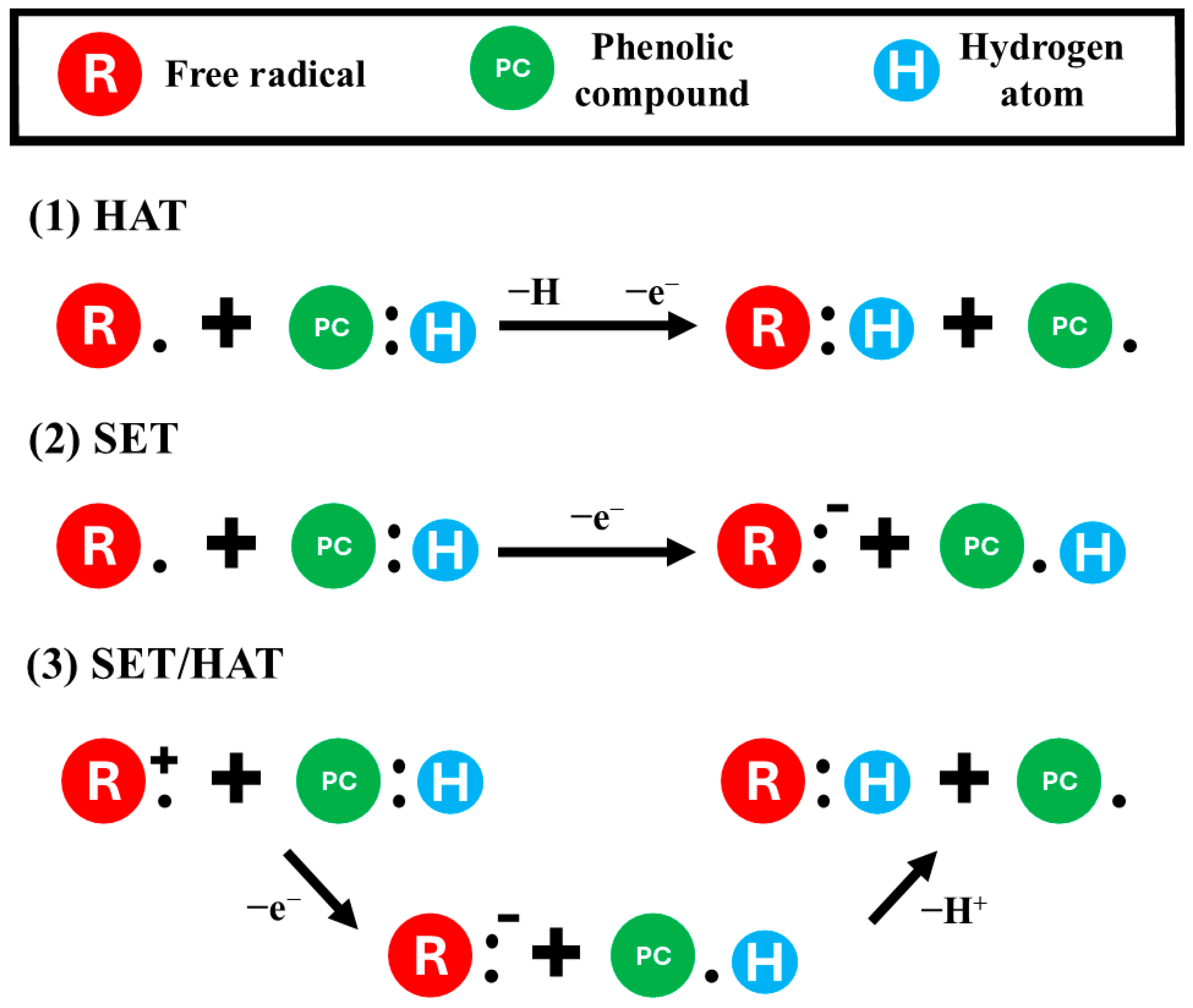 Processes 13 03761 g005