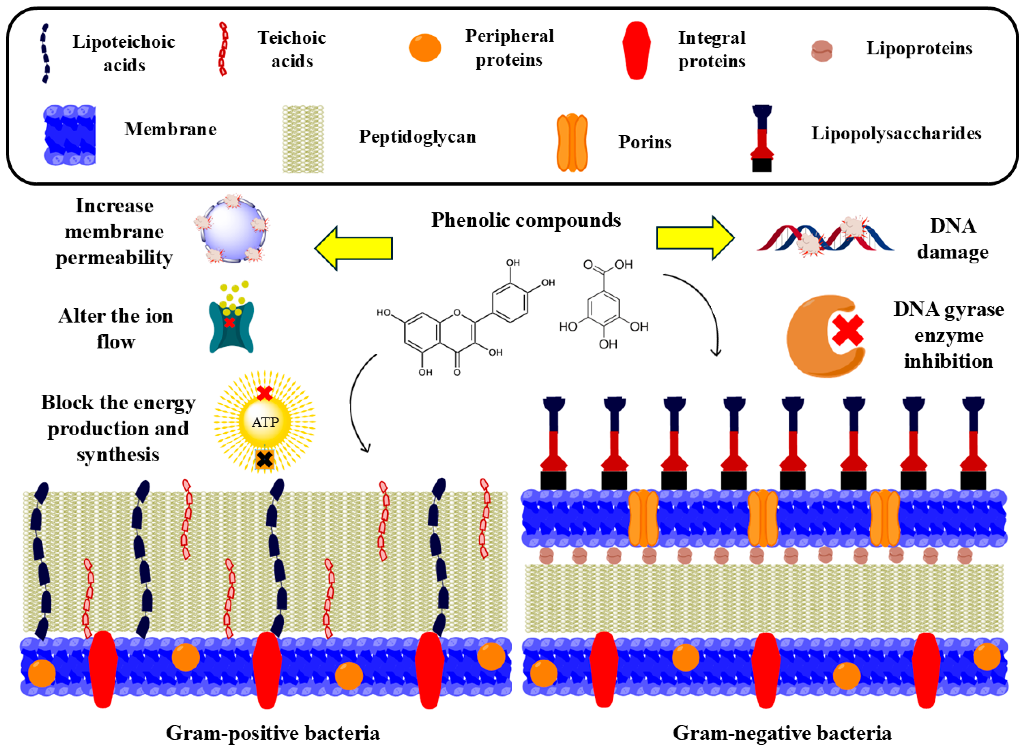 Processes 13 03761 g006