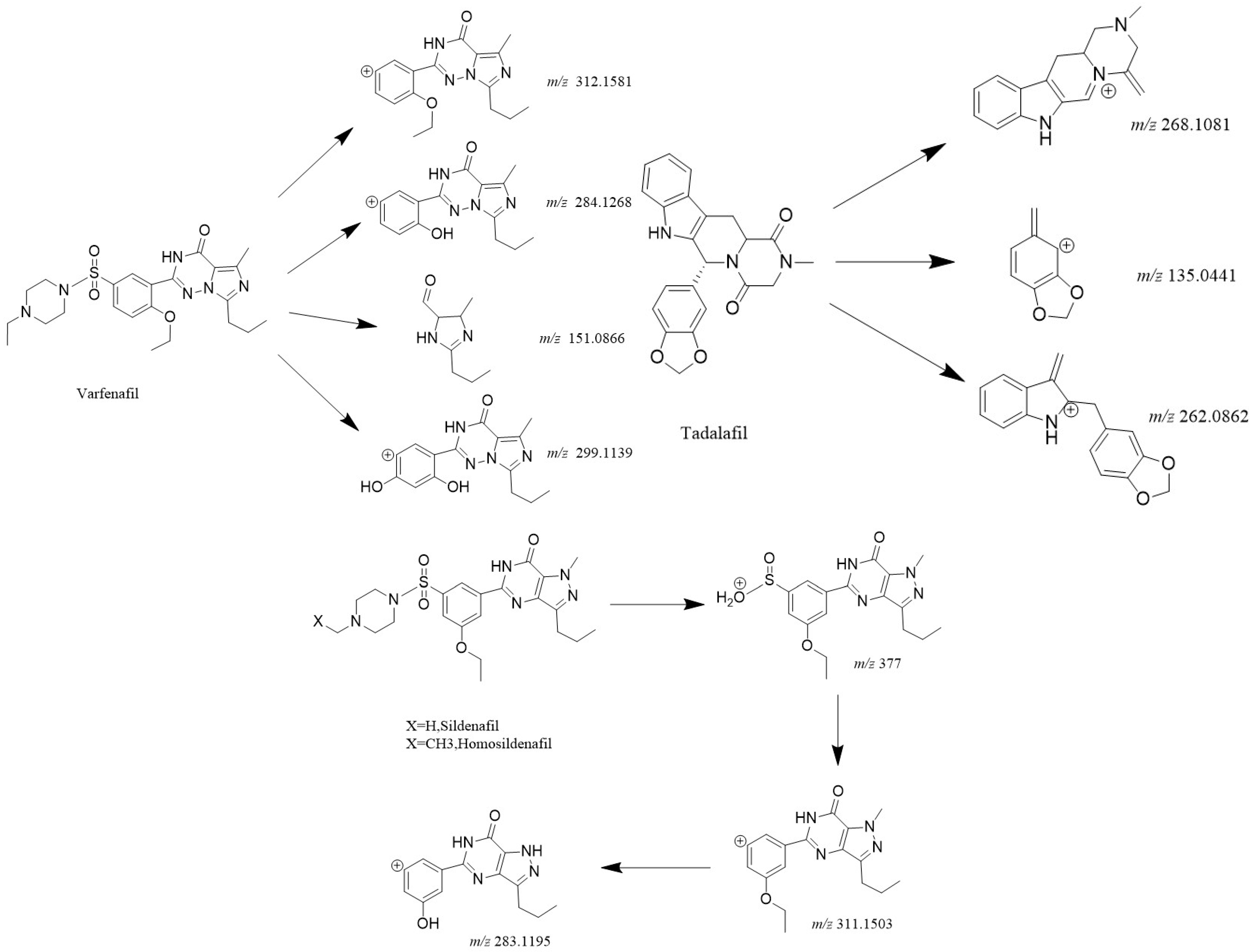 Processes 13 03800 g003