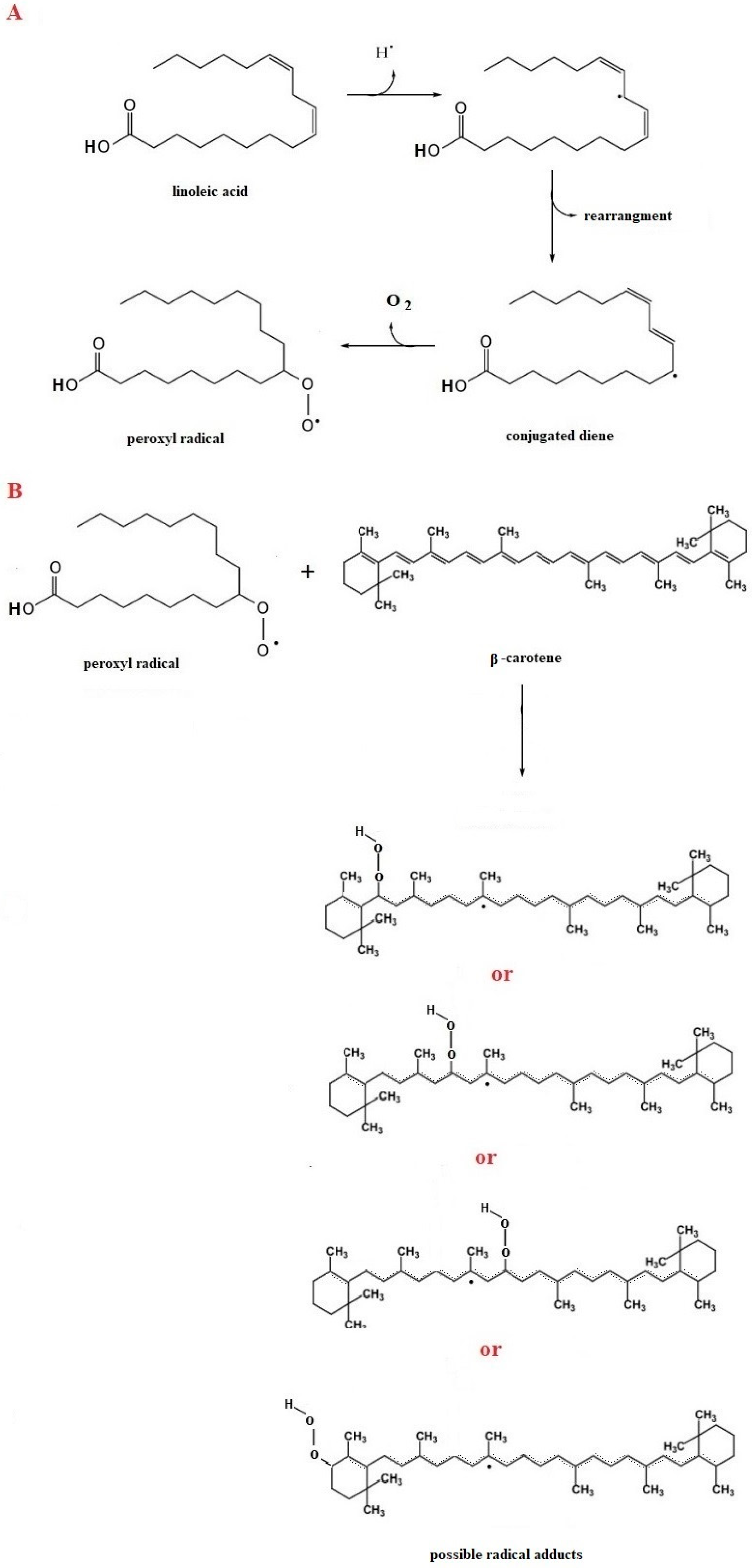Processes 13 03814 g004