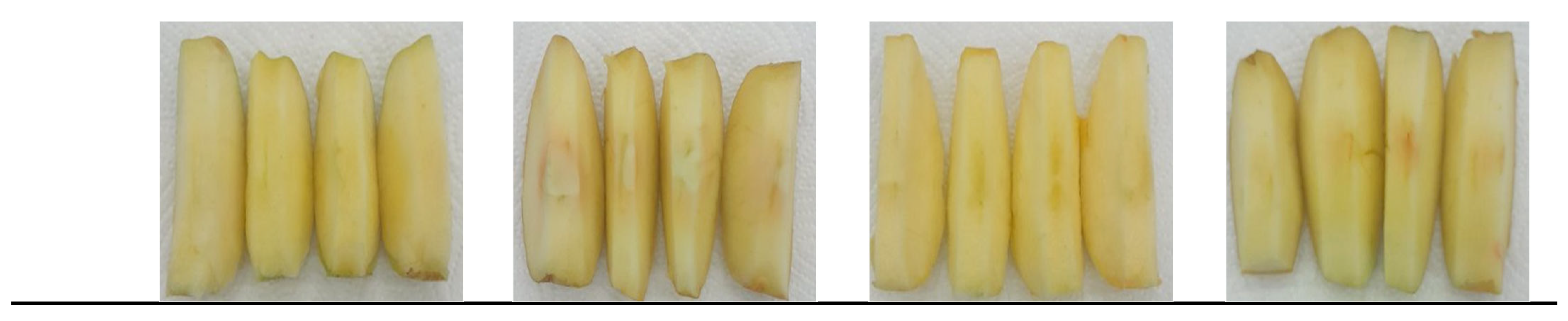 Processes 13 03821 g005b