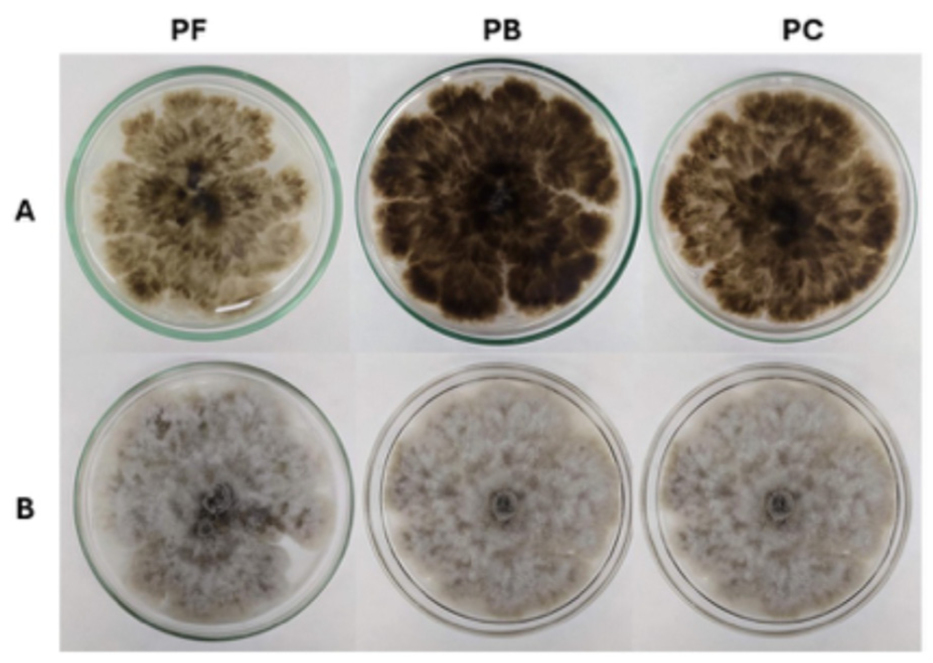 Processes 13 03834 g001