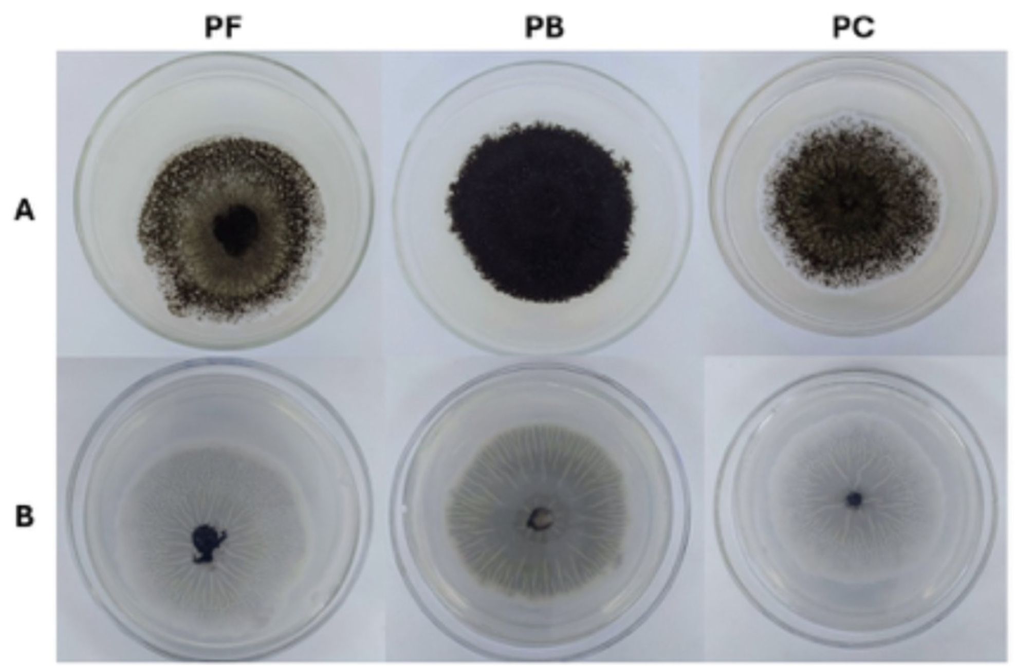 Processes 13 03834 g002