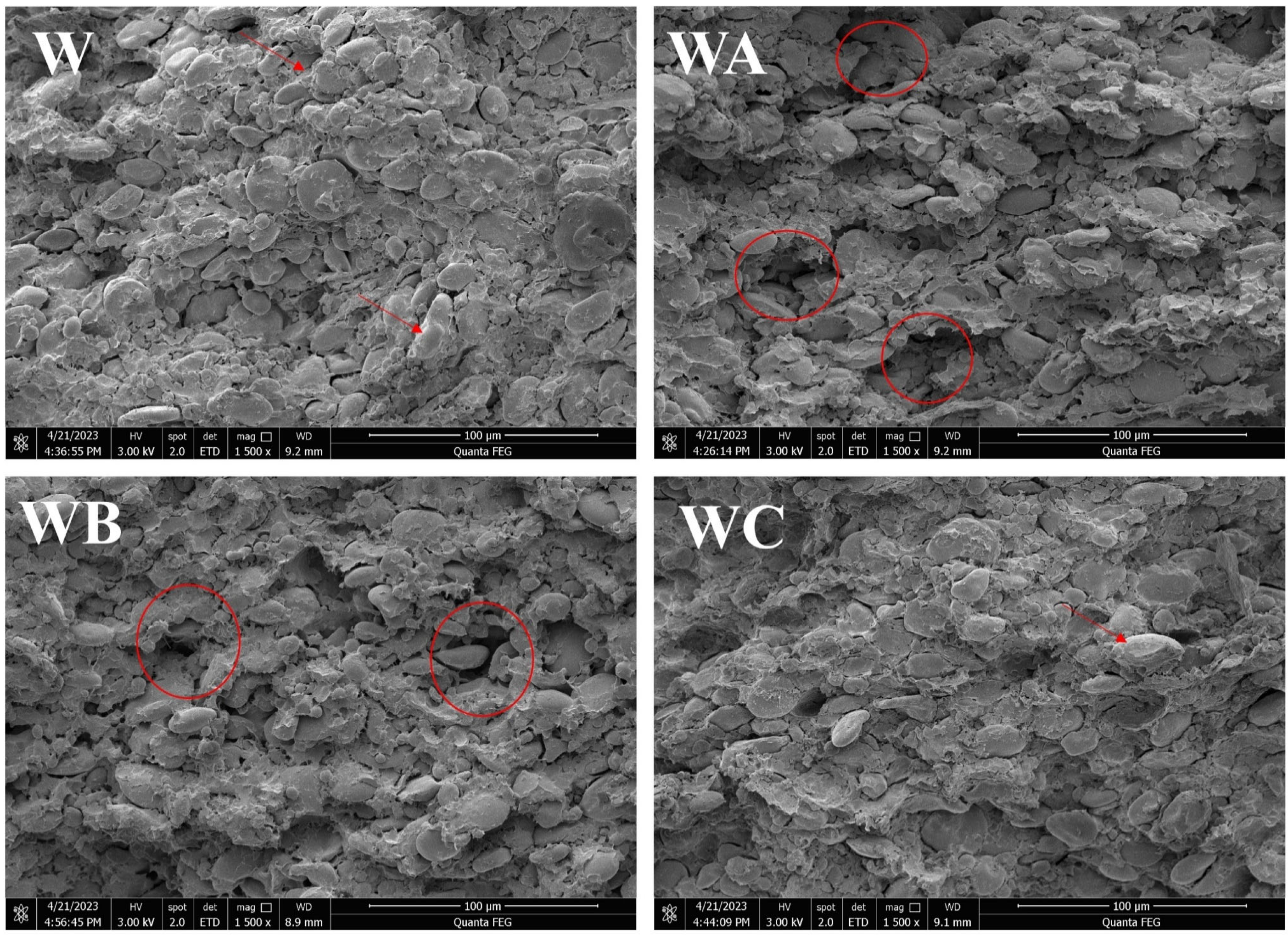 Processes 13 03840 g001